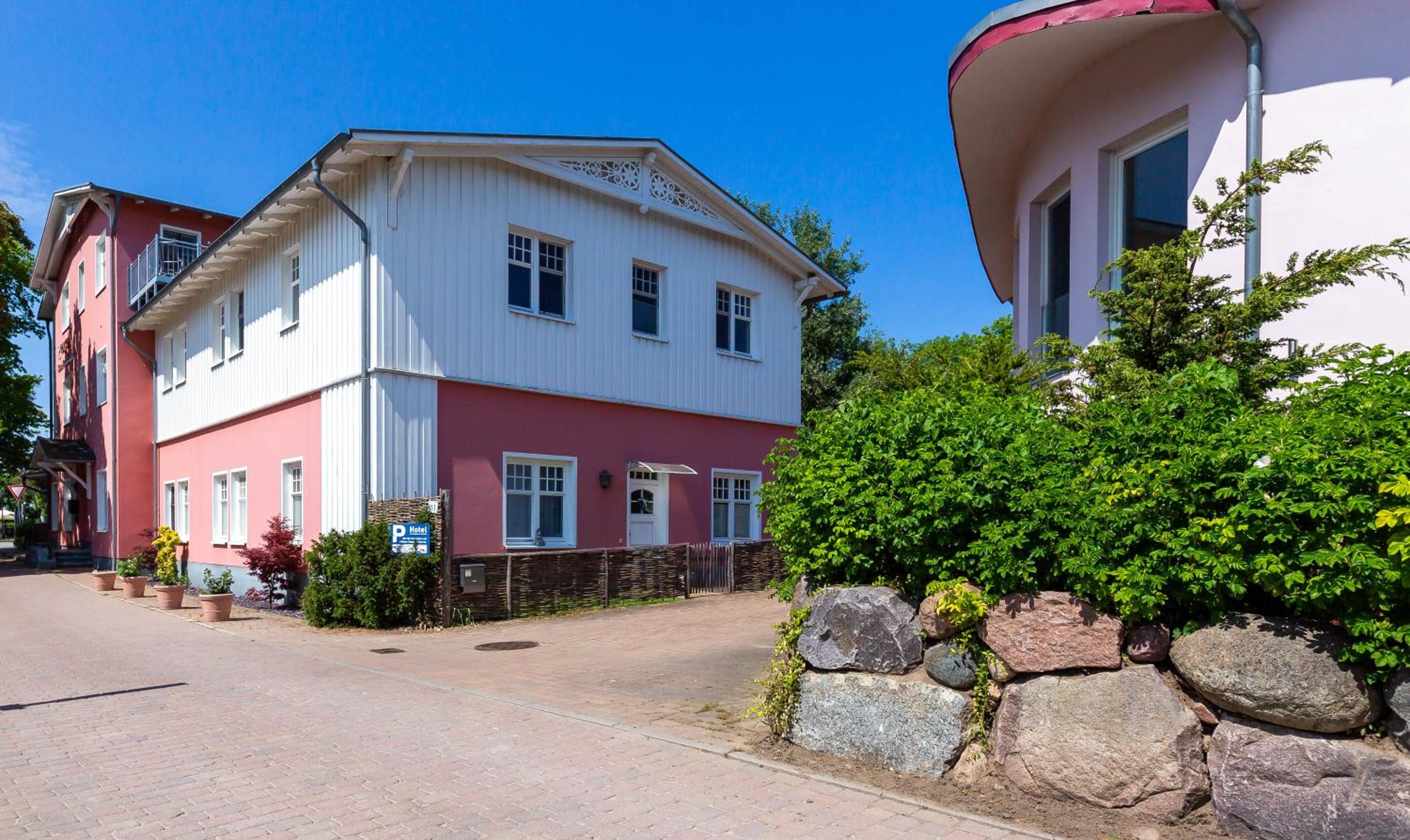 Muschel 2