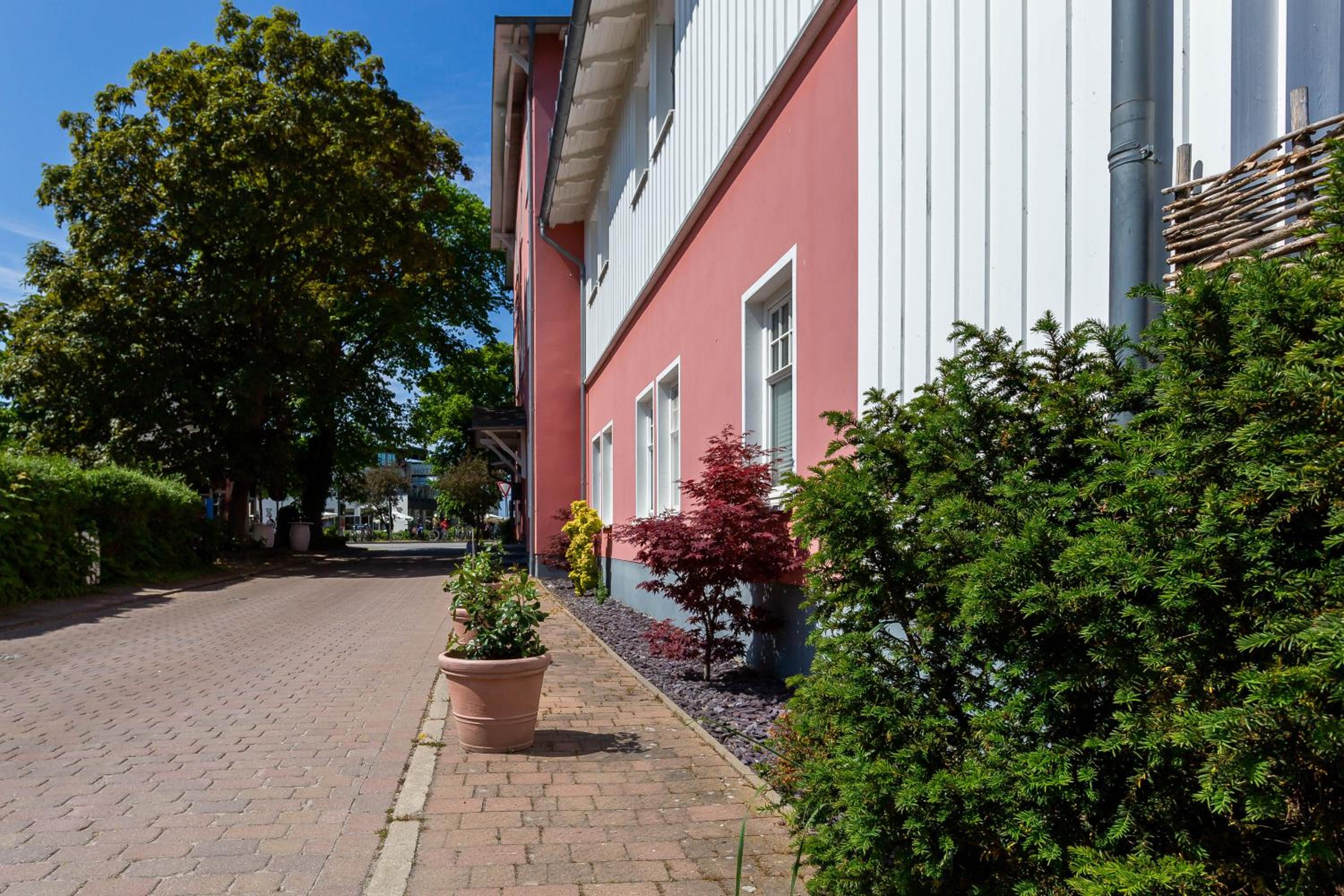 Muschel 2