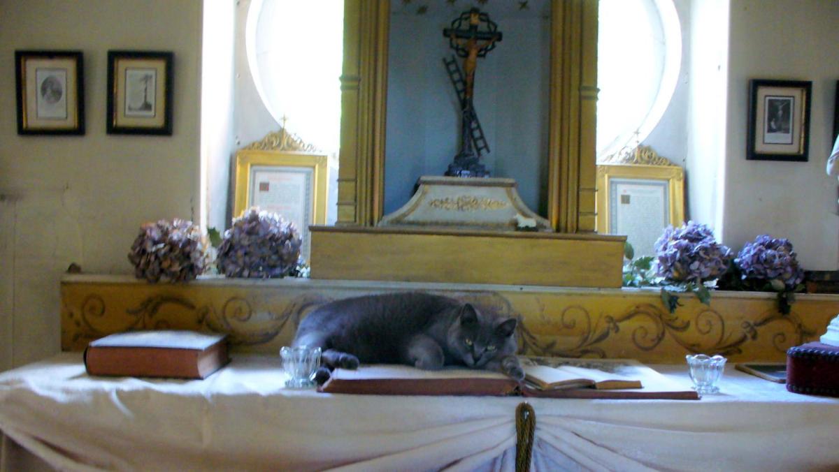 Photo 31