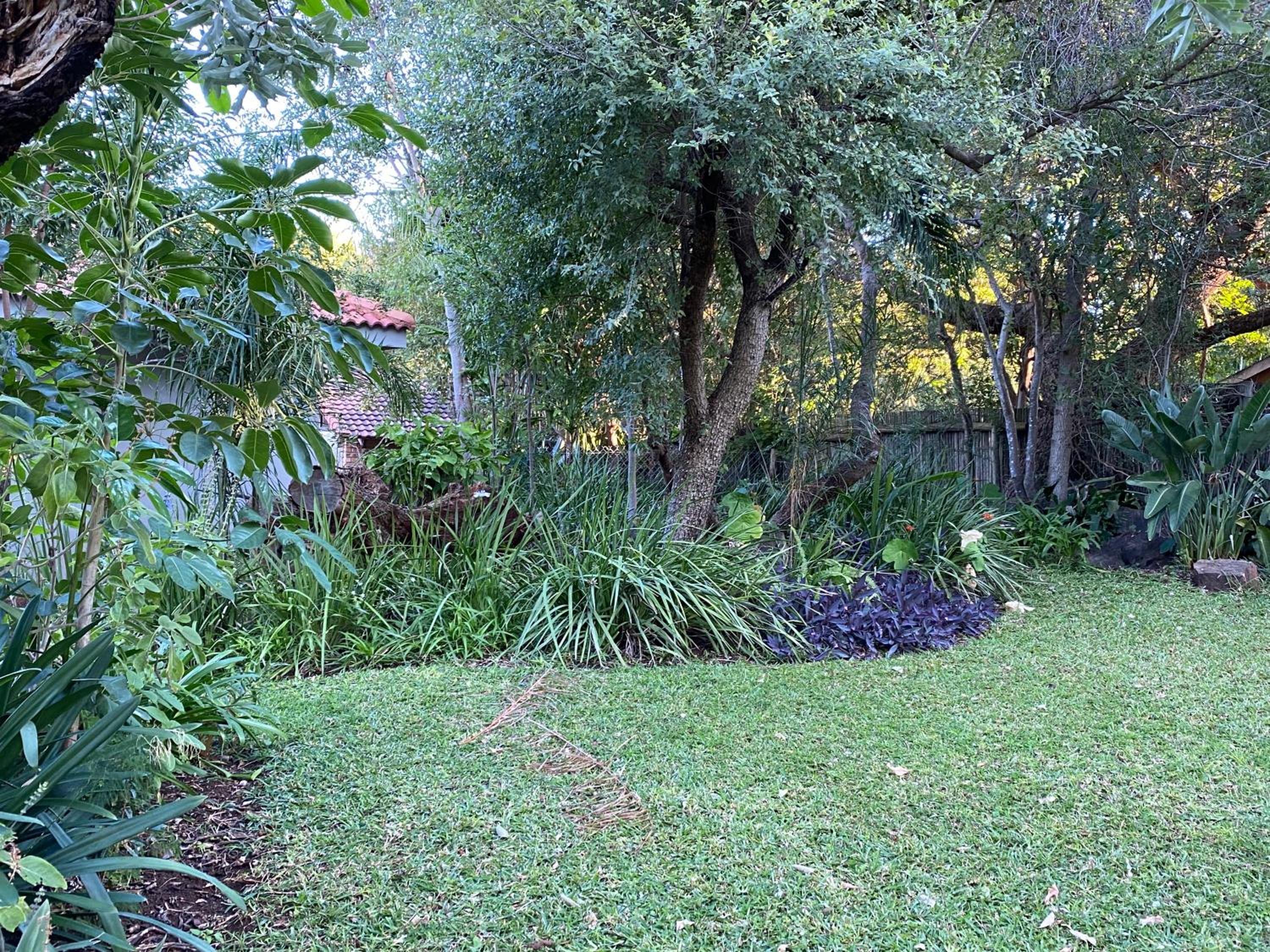 Photo 29