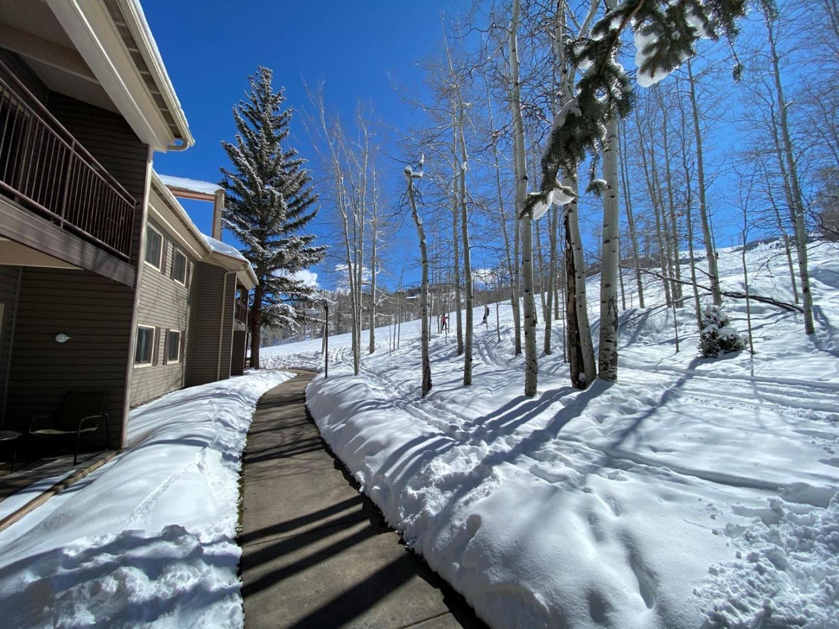 Timberline Condominiums Studio Loft Premier Unit 304 - Property Image 14