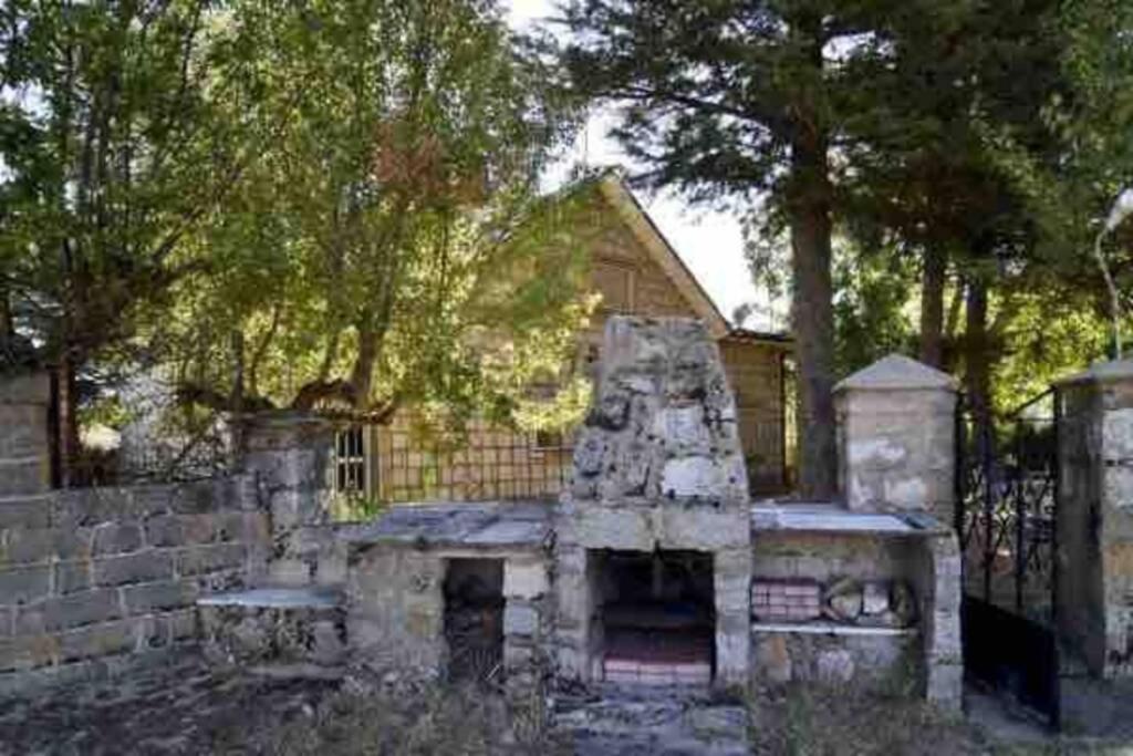 Photo 23