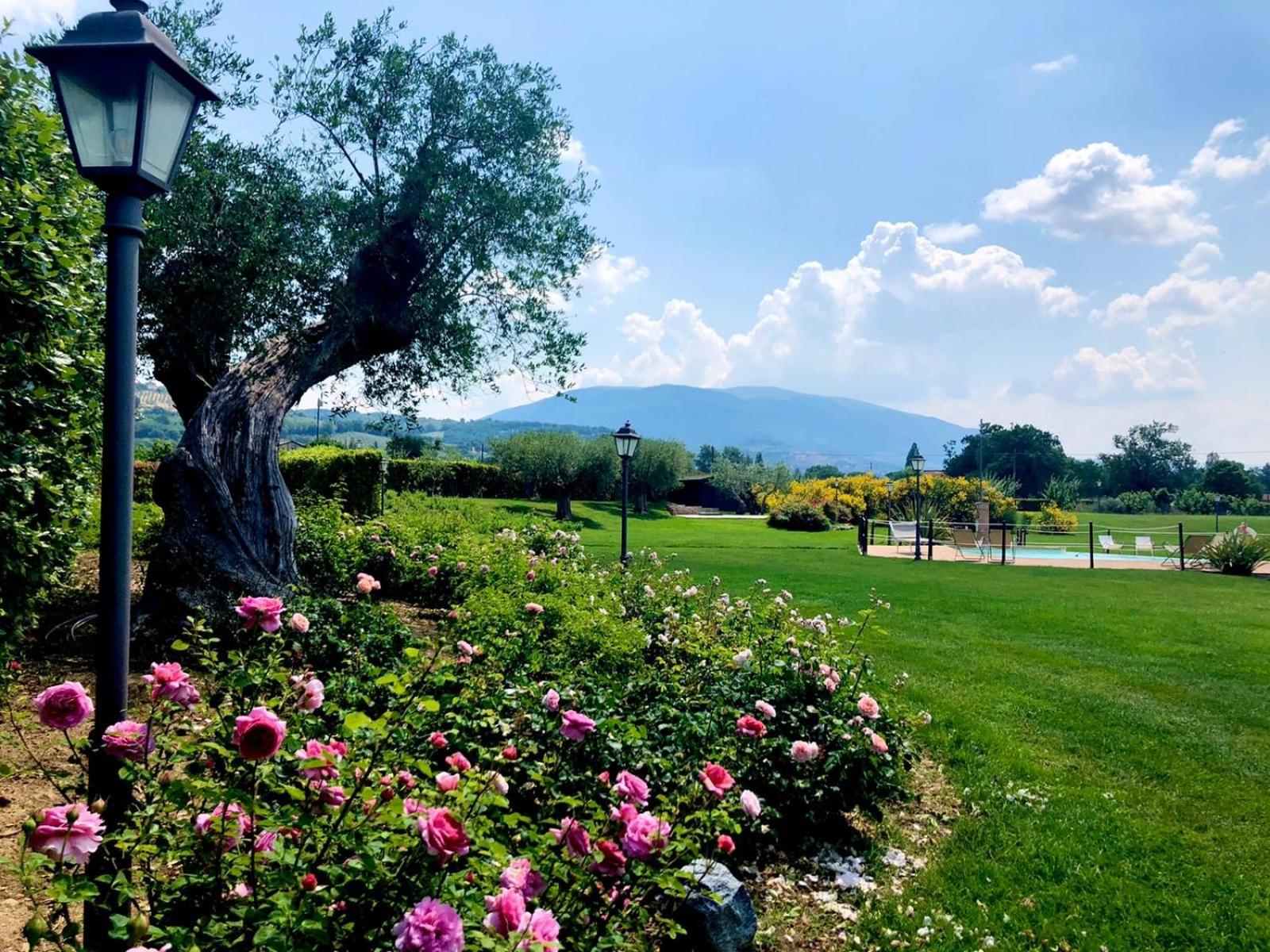 Agriturismo Il Cantico di San Francesco view 3