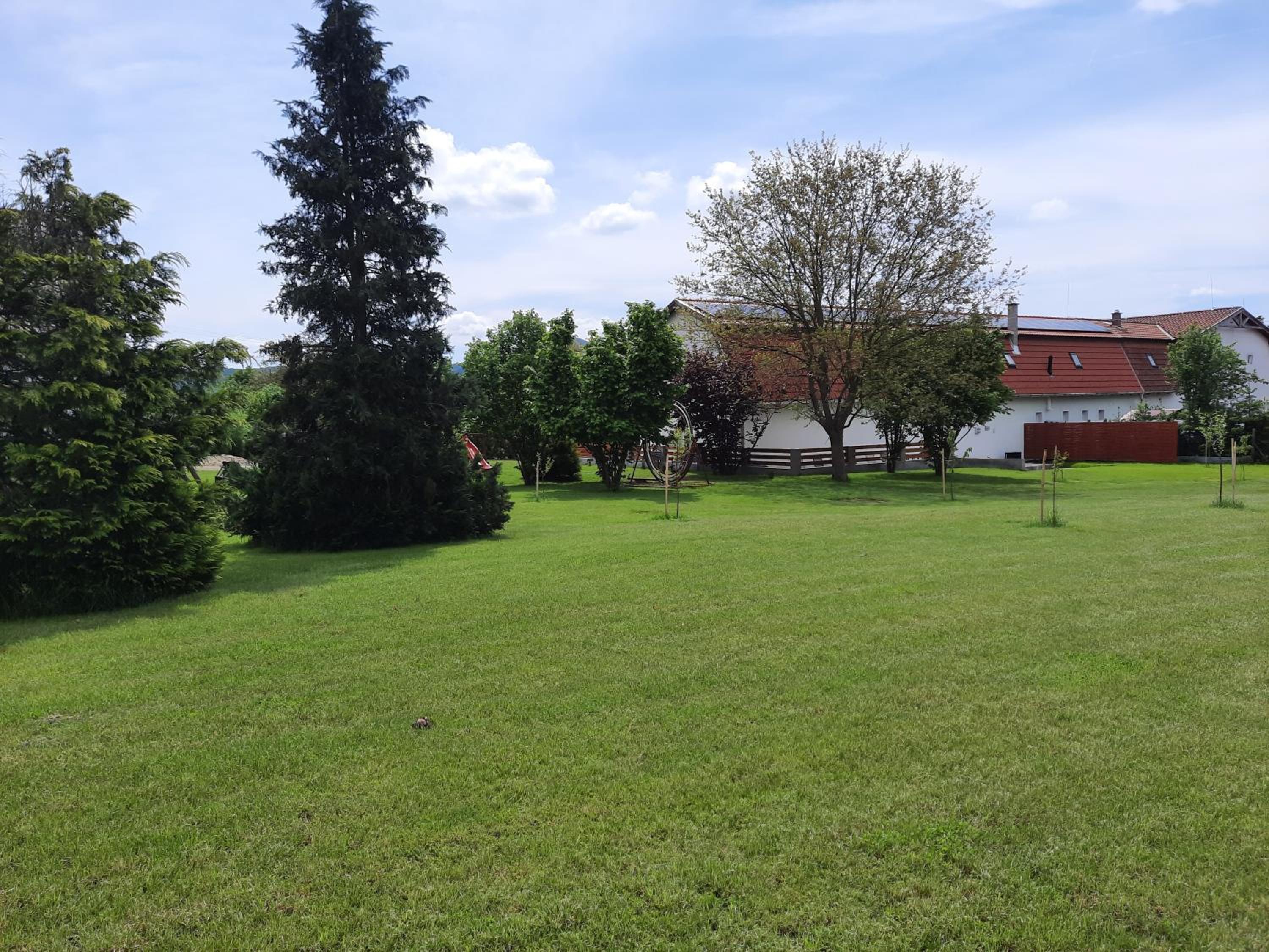 Photo 46