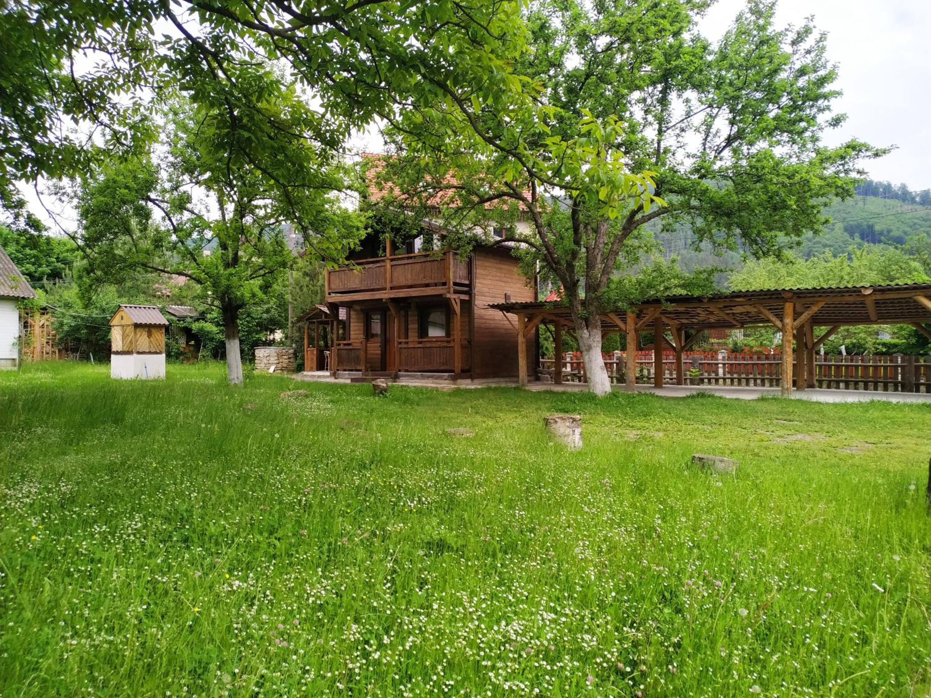 Photo 18