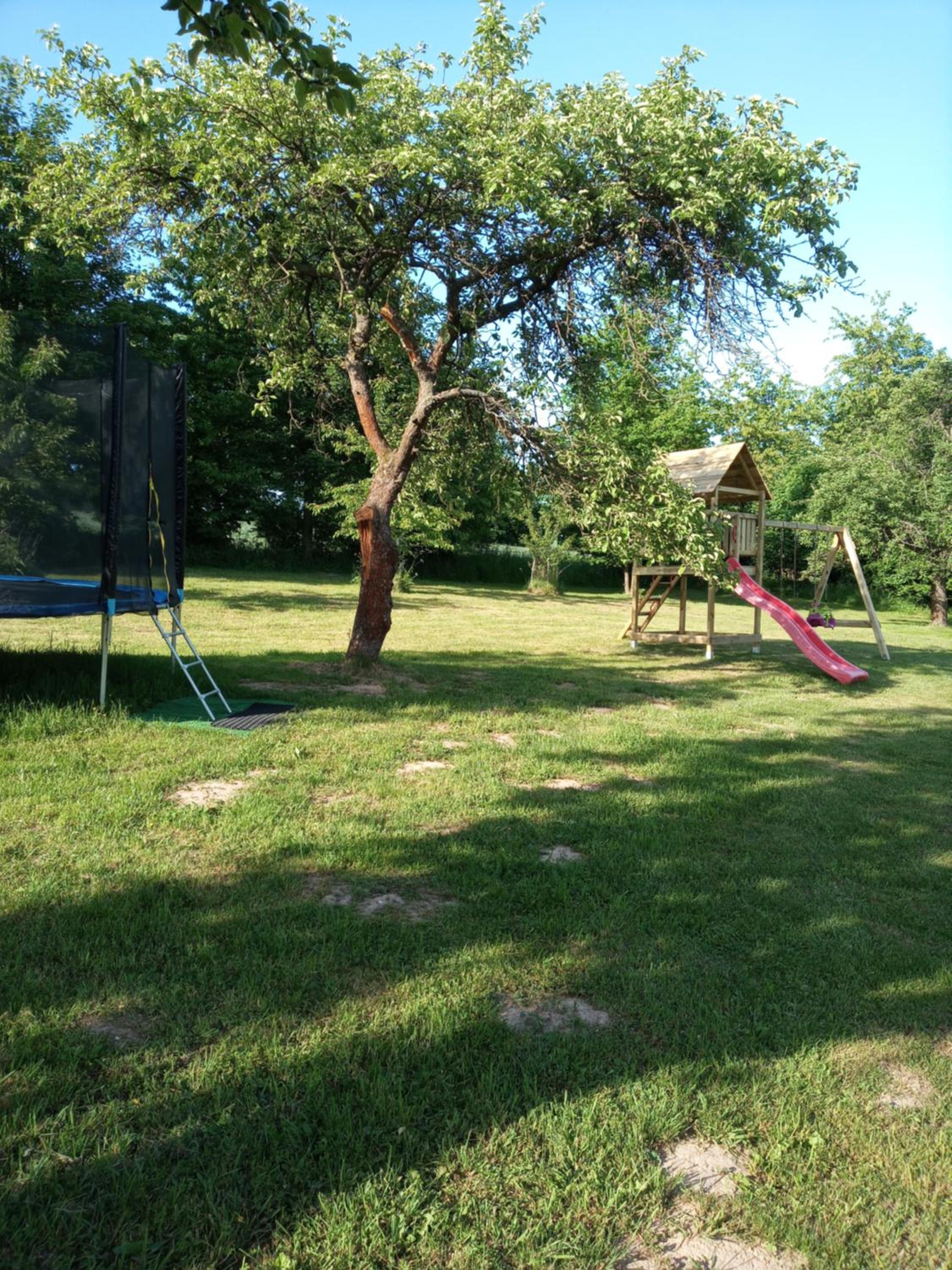 Photo 30