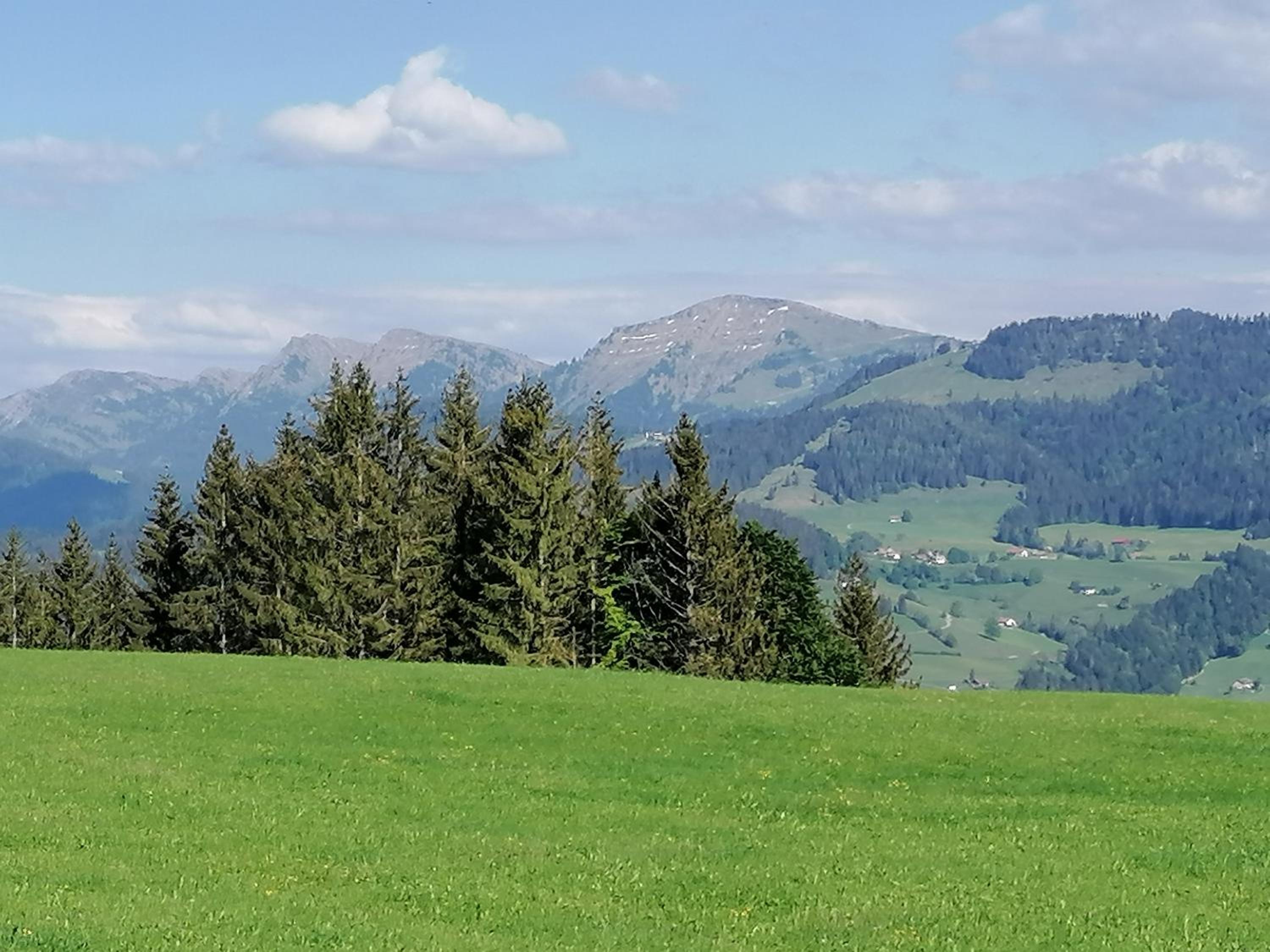 Frühstückspension Bilgeri