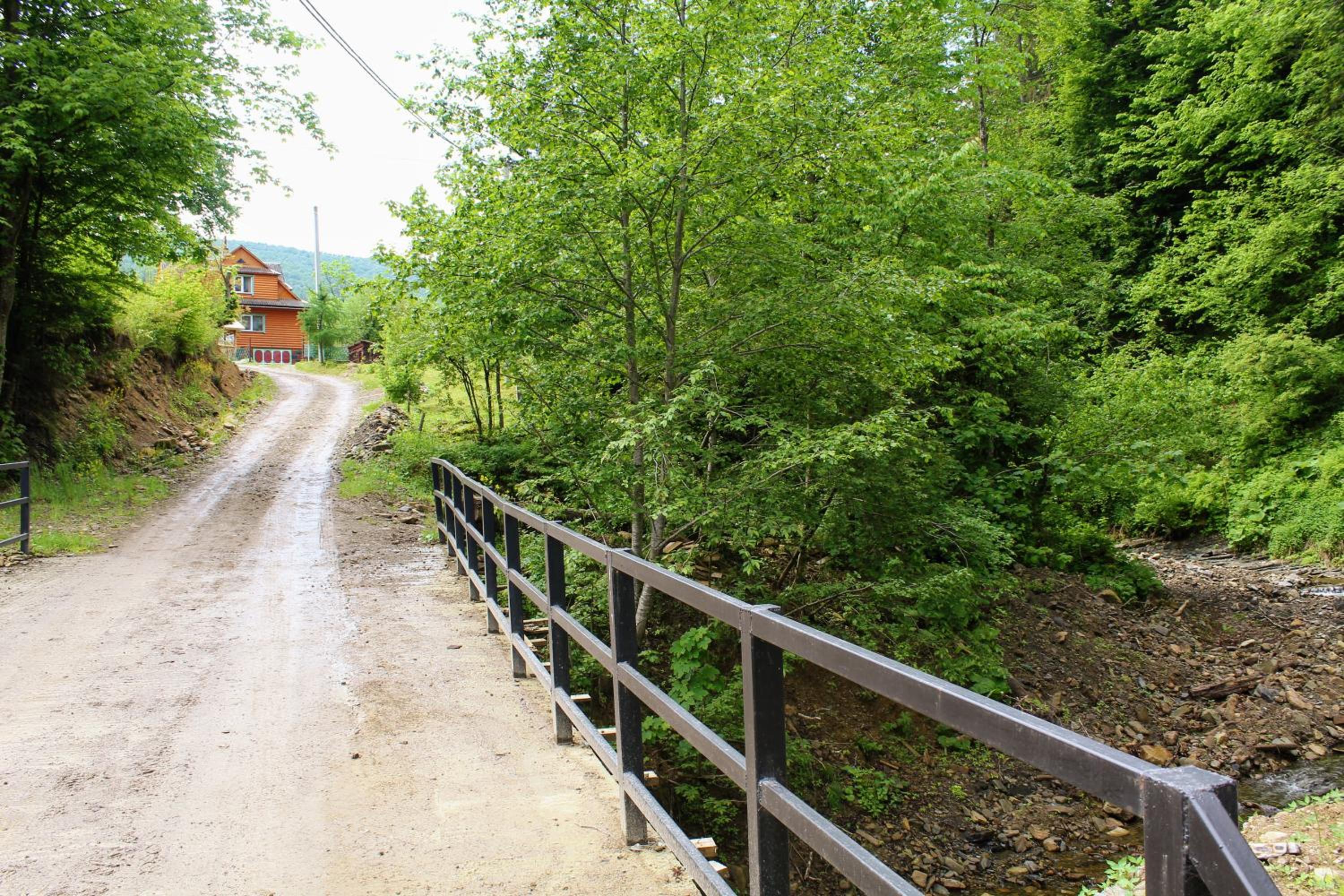 Photo 31