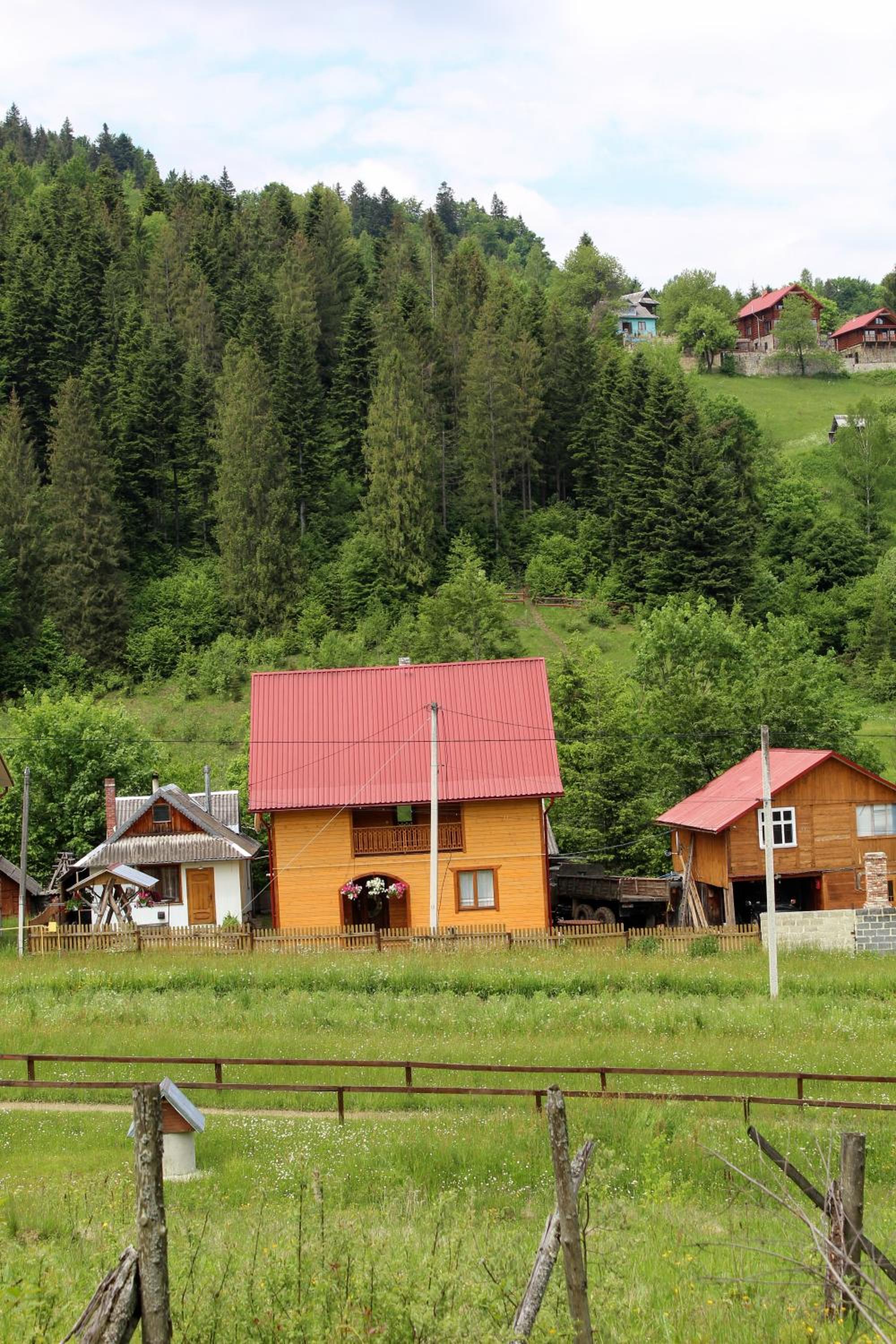 Photo 29