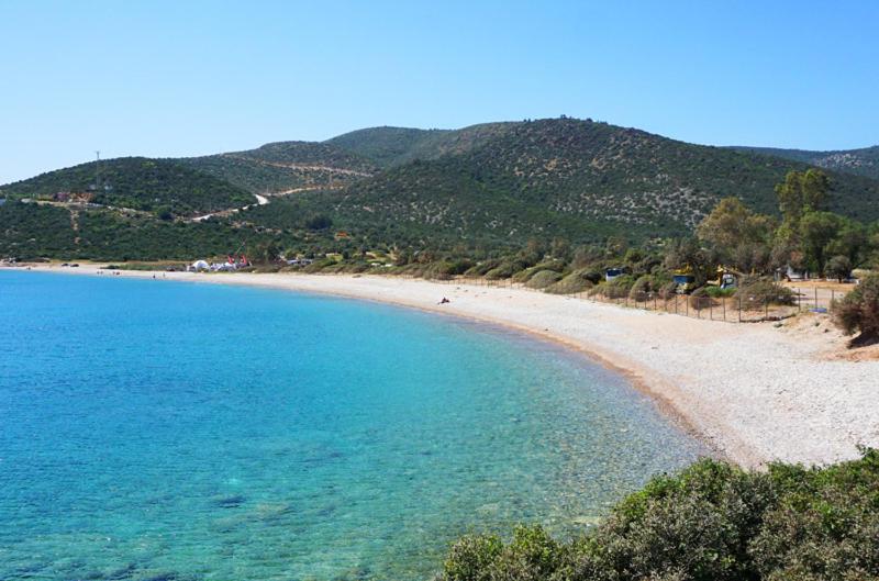 Yalıyanı Pansiyon