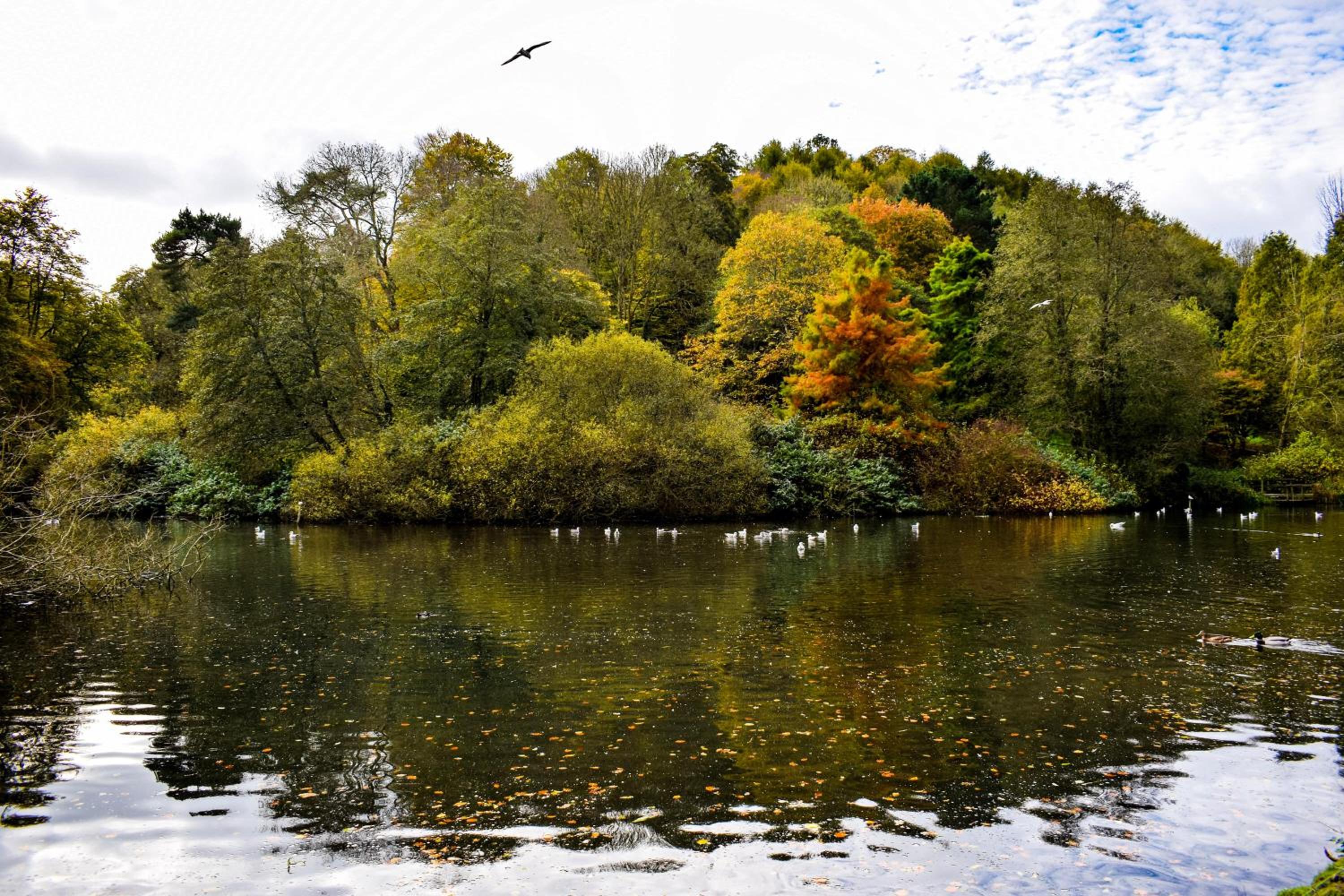 Yeovil Vacations - 'The Loft' - Property Image 6