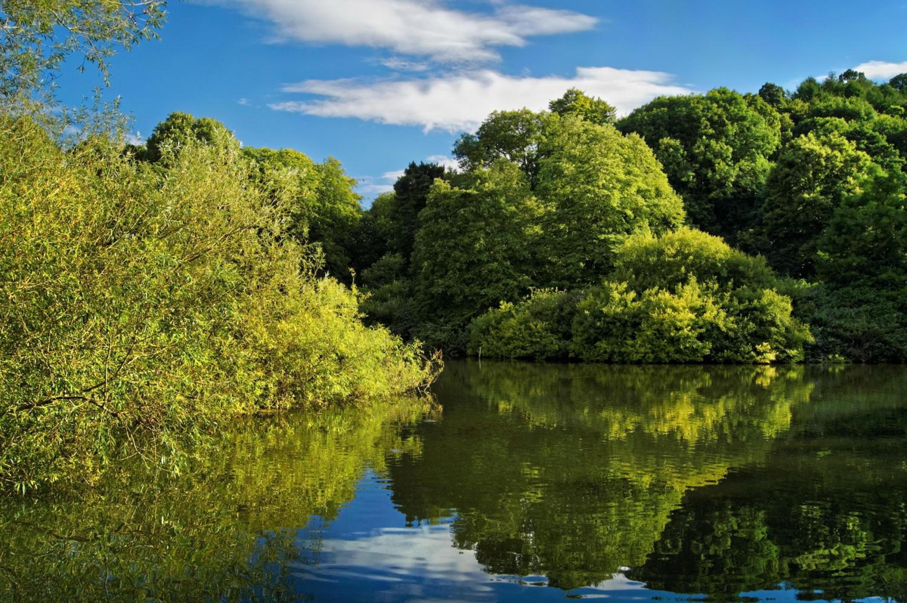 Yeovil Vacations - 'The Loft' - Property Image 5