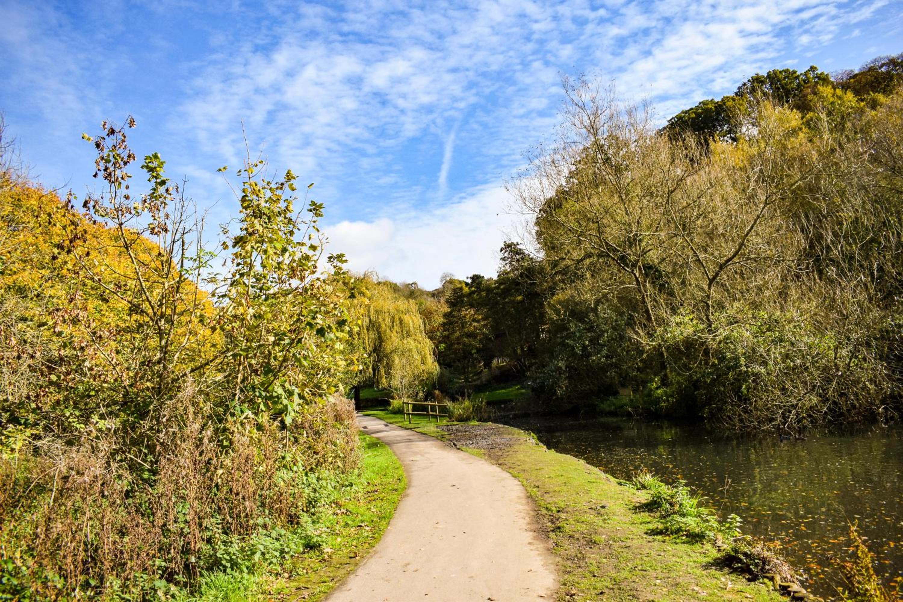 Yeovil Vacations - 'The Loft' - Property Image 4