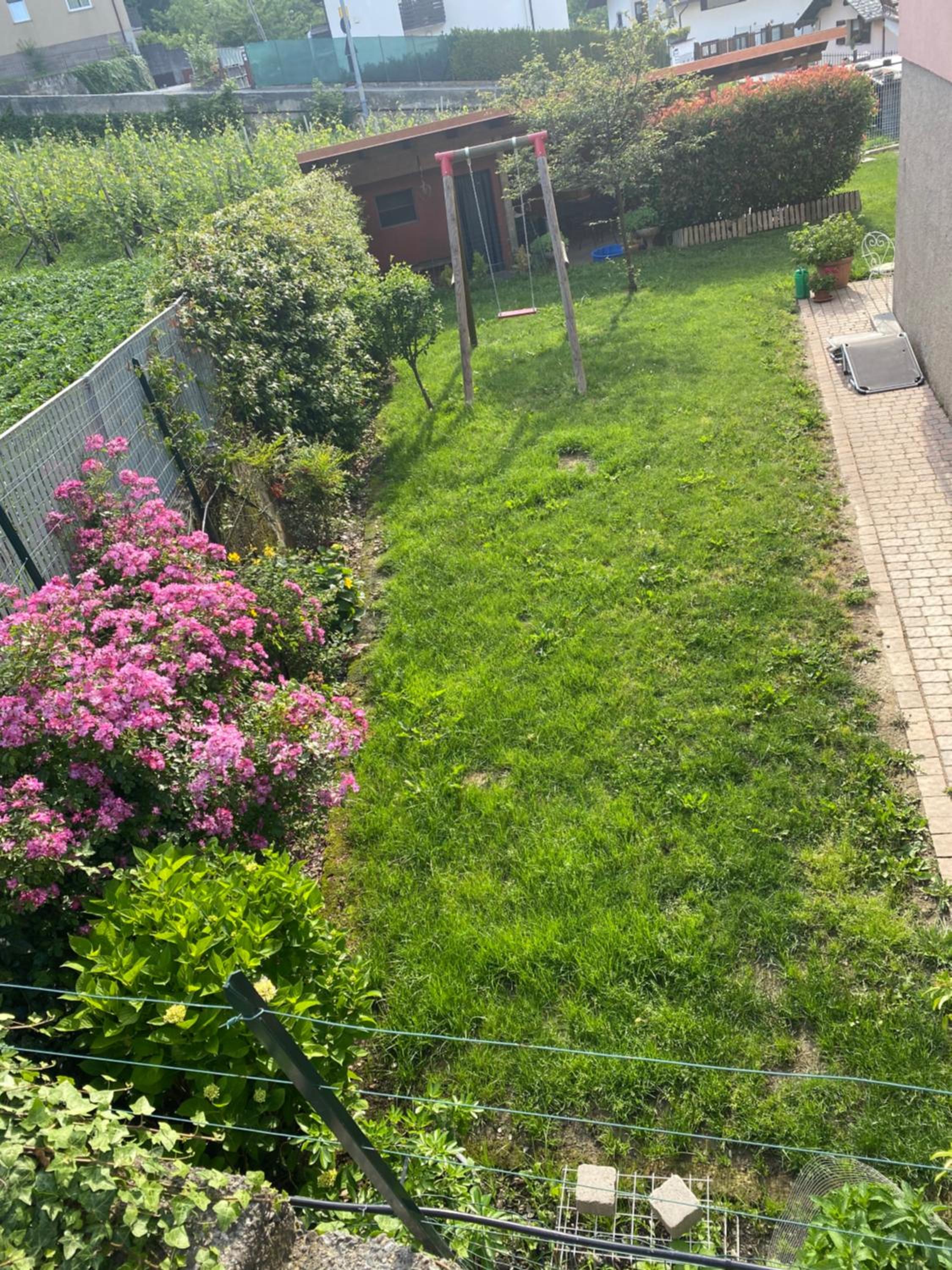 Photo 38