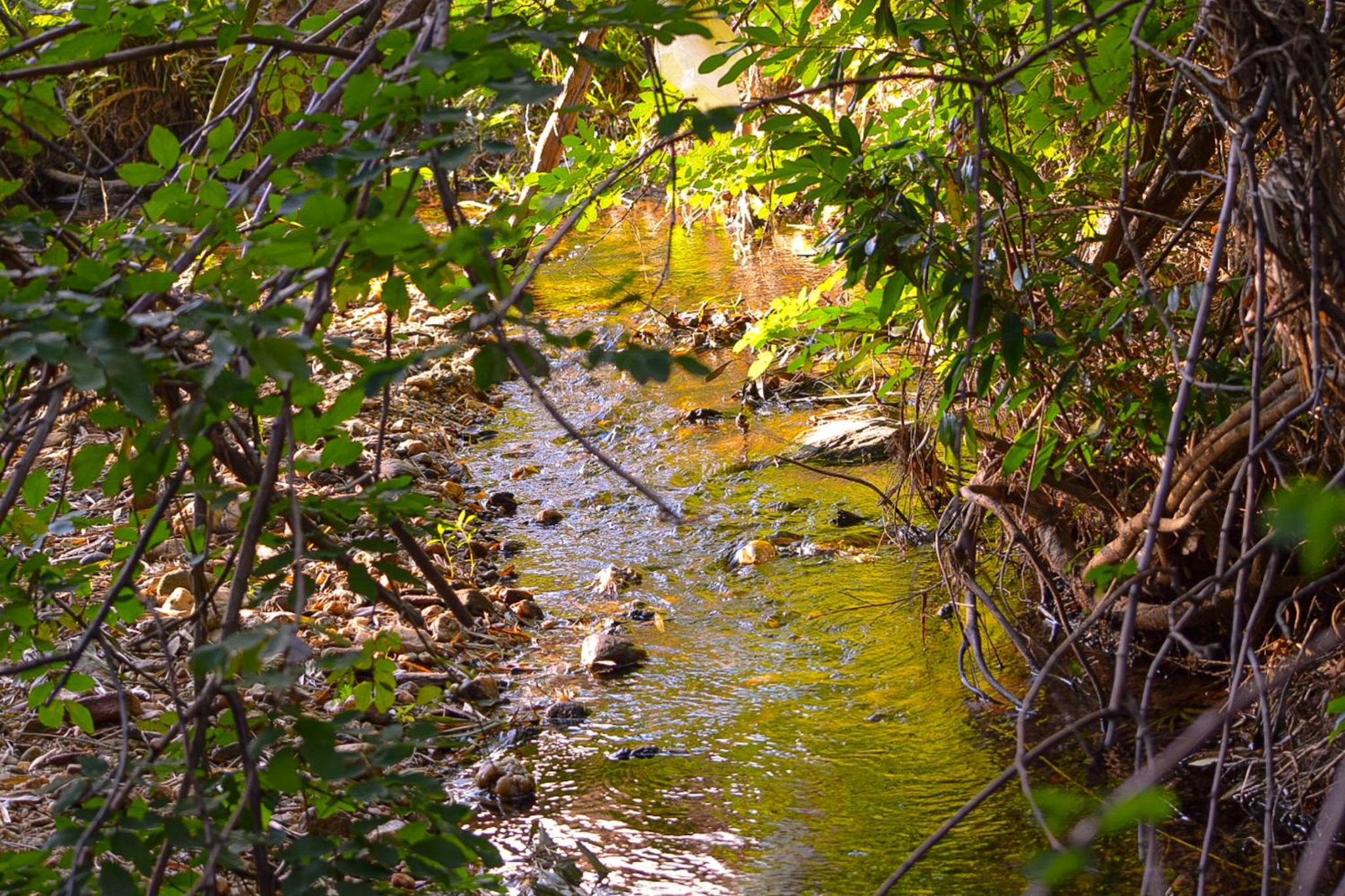 Photo 46