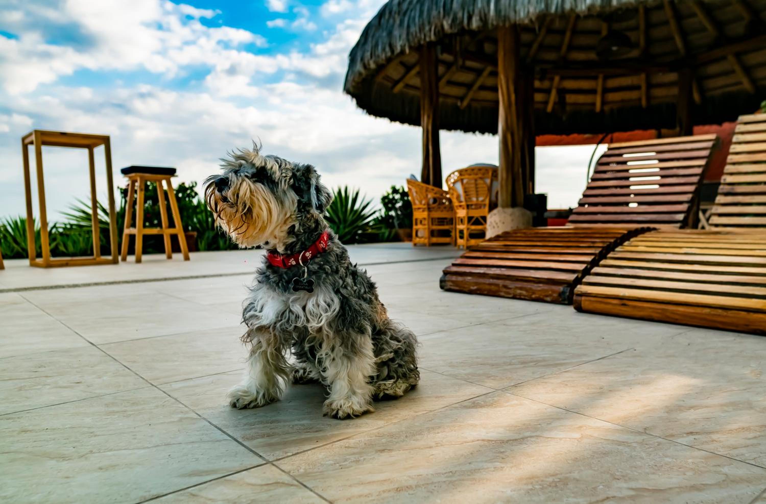 Hotel Boutique Playa Canela Ecuador