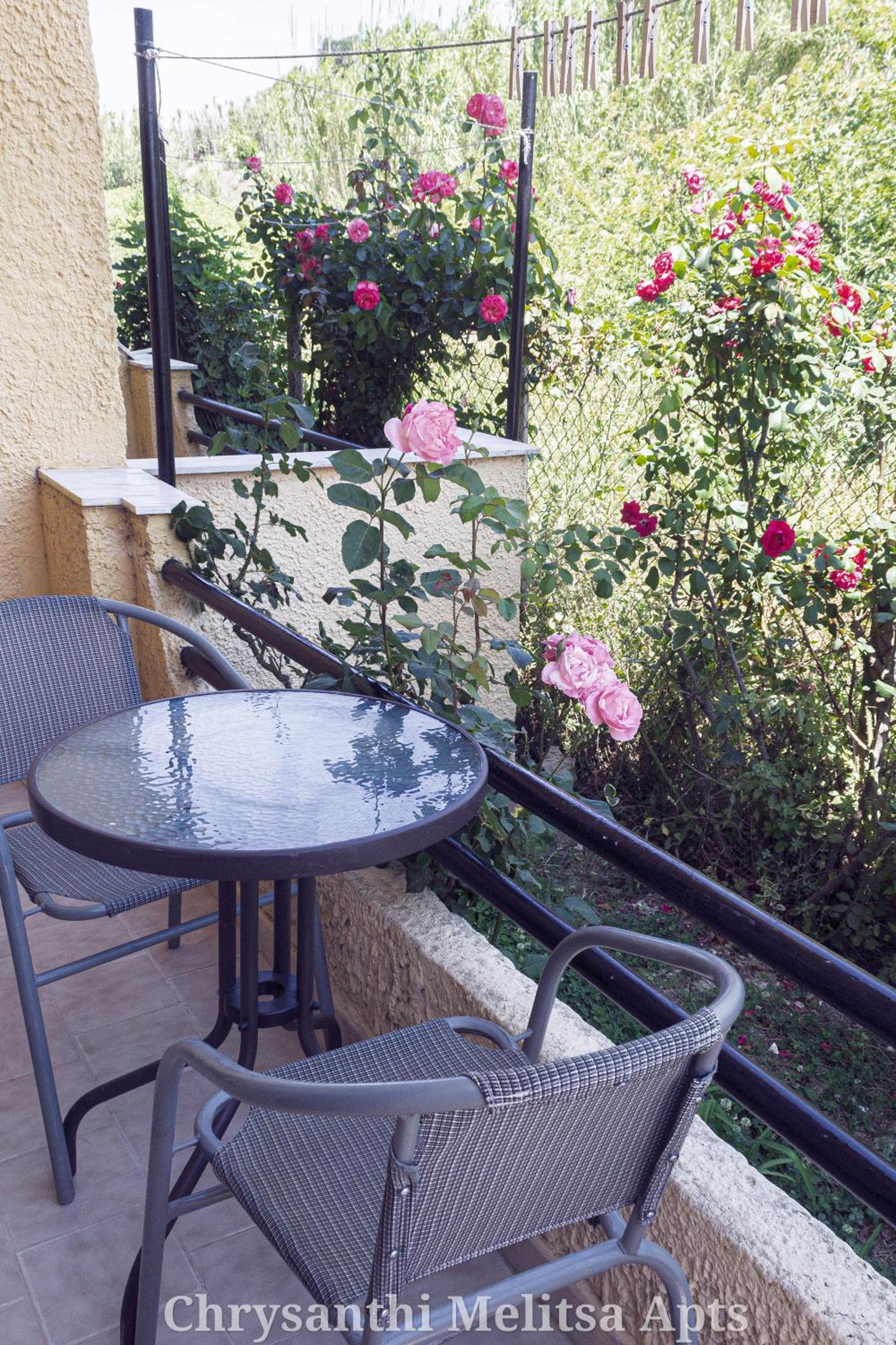 Photo 41