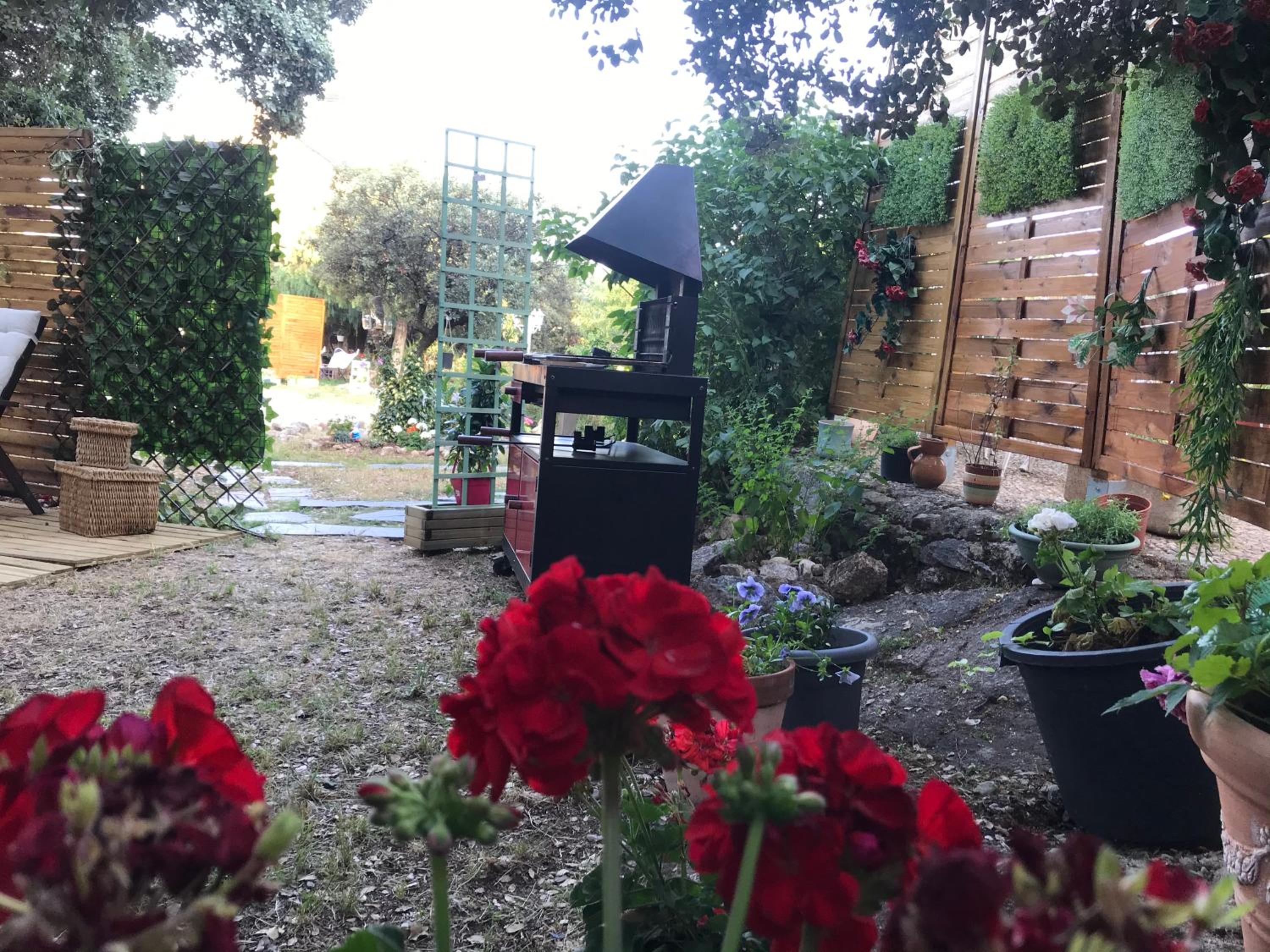 Photo 31