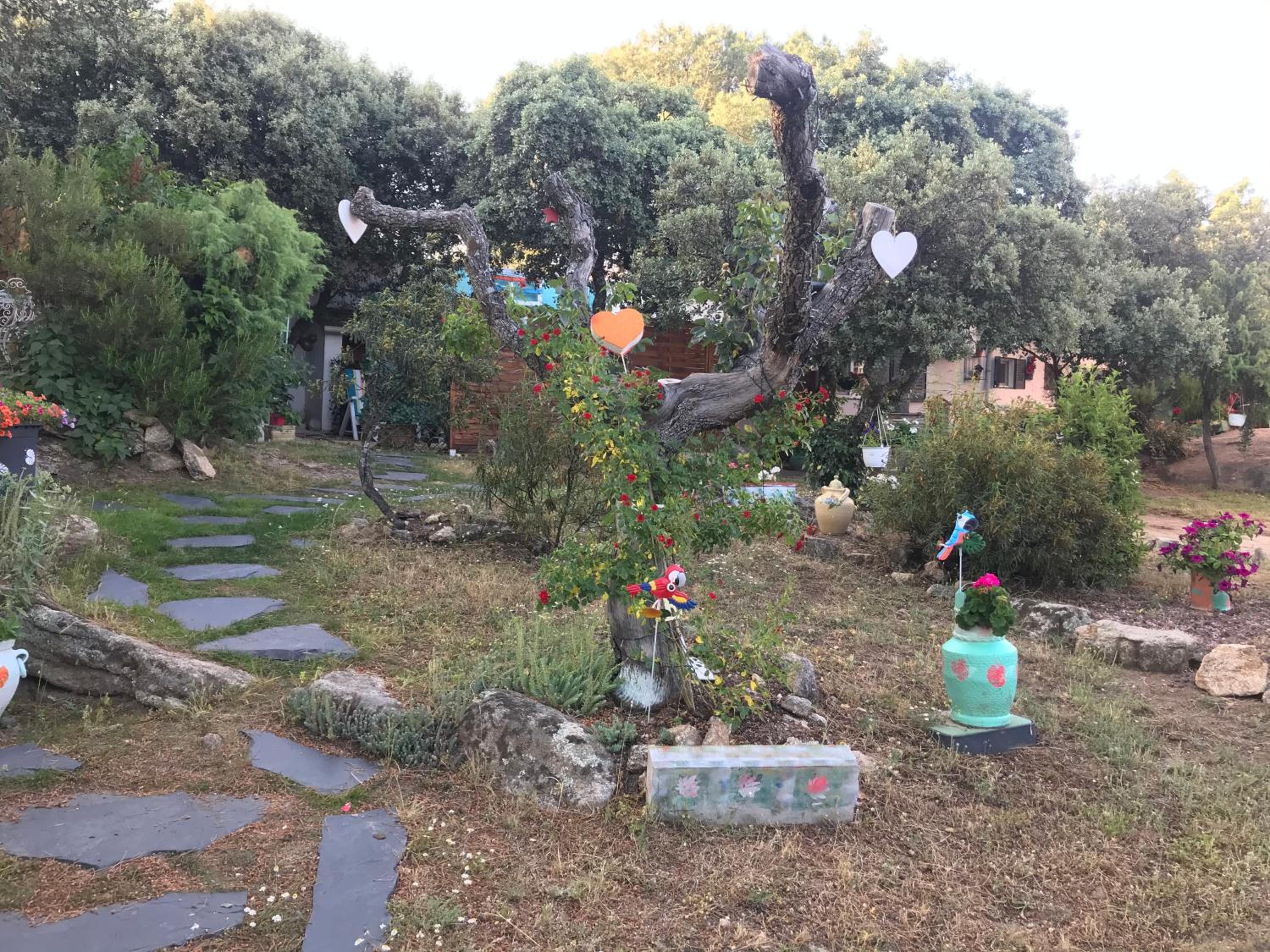 Photo 44