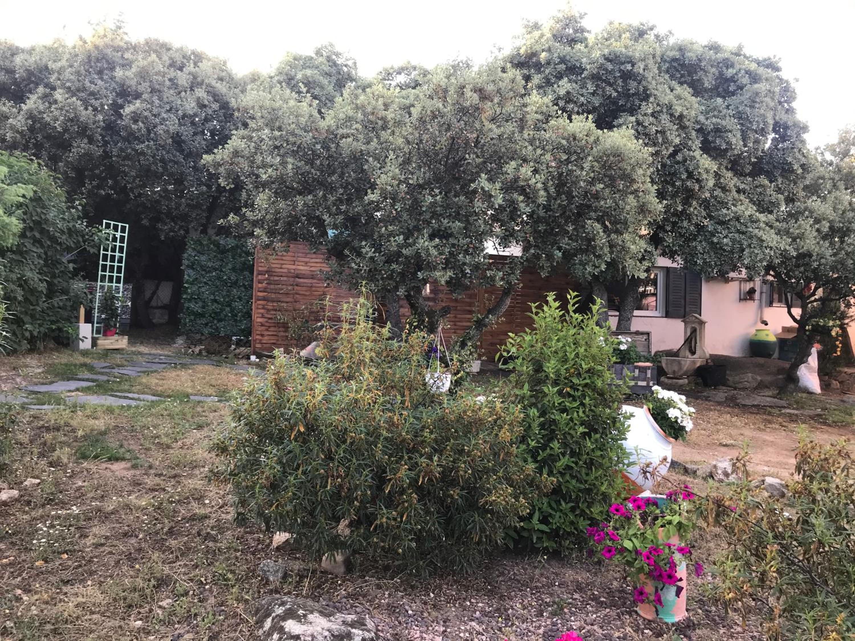 Photo 48