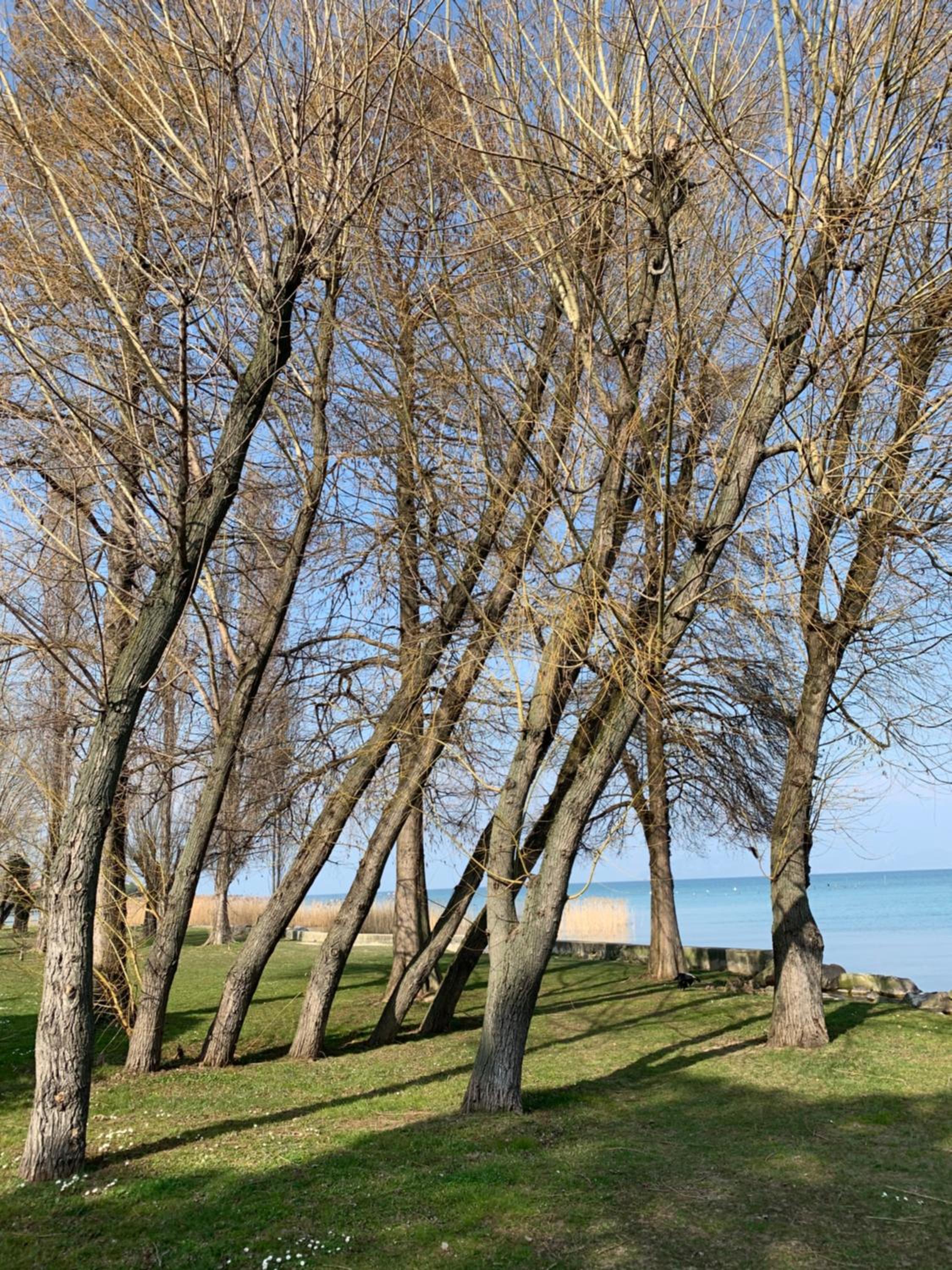 Casanova Sirmione view 2
