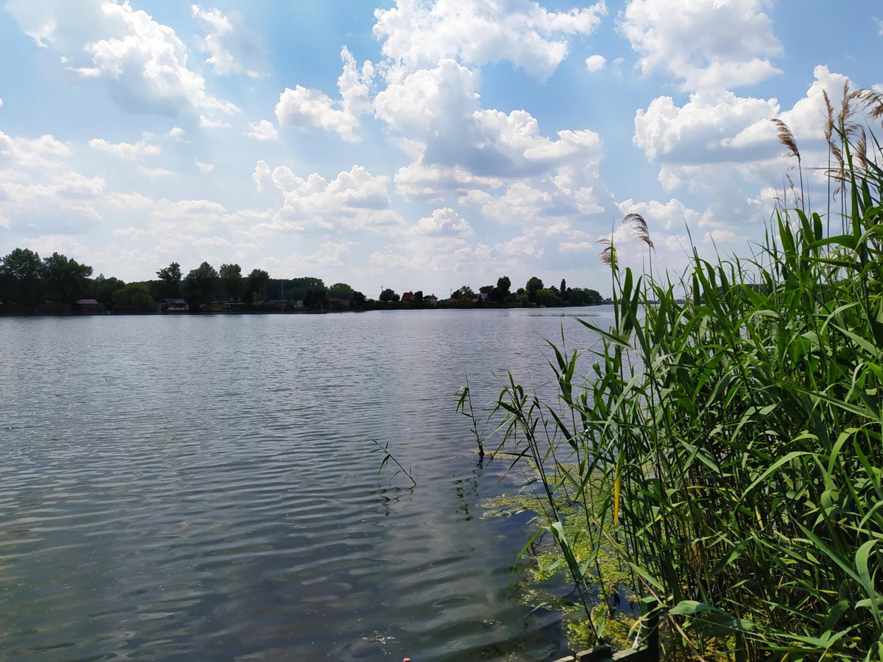 Photo 40