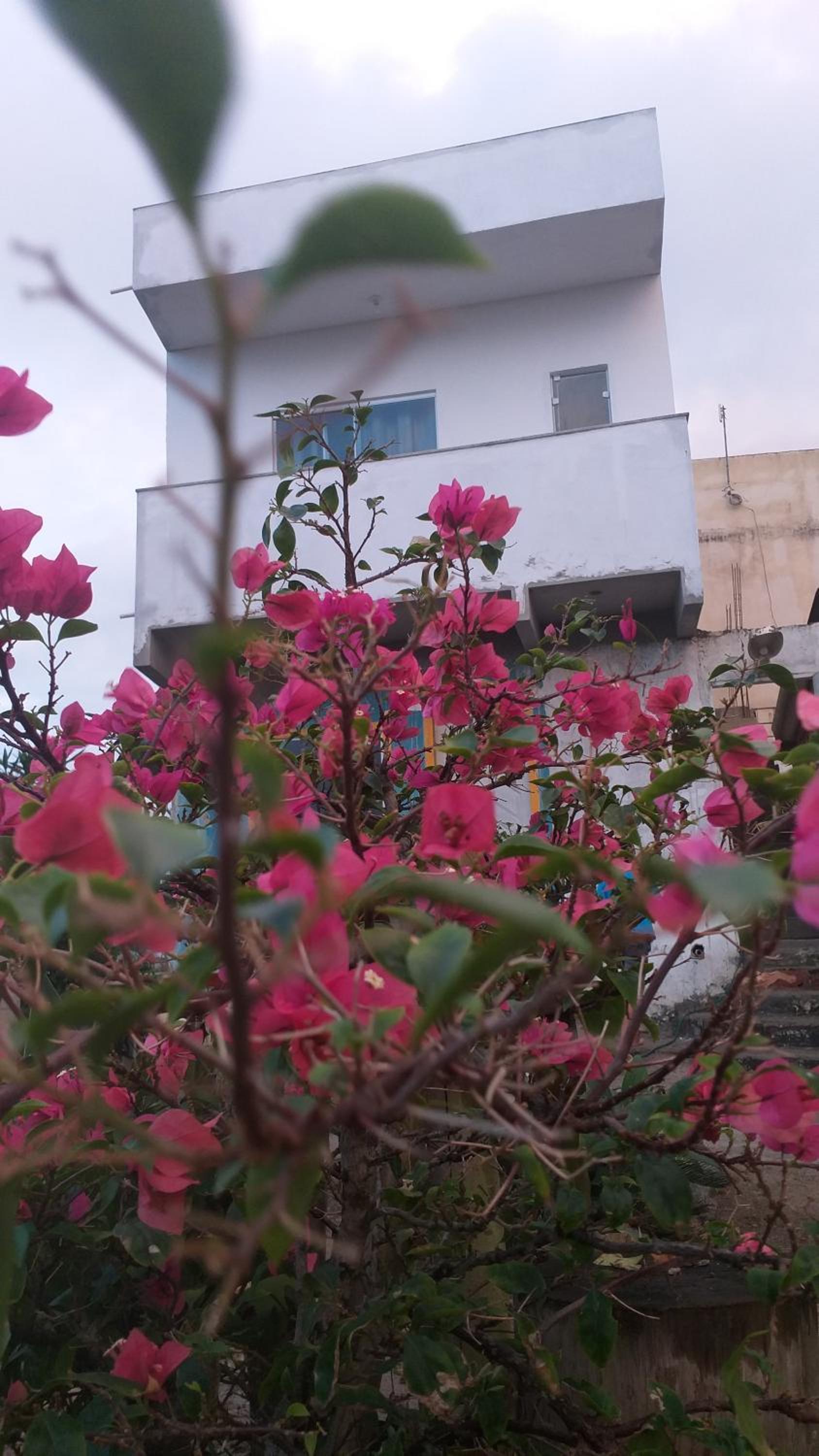 Hospedagem Flor do Mar