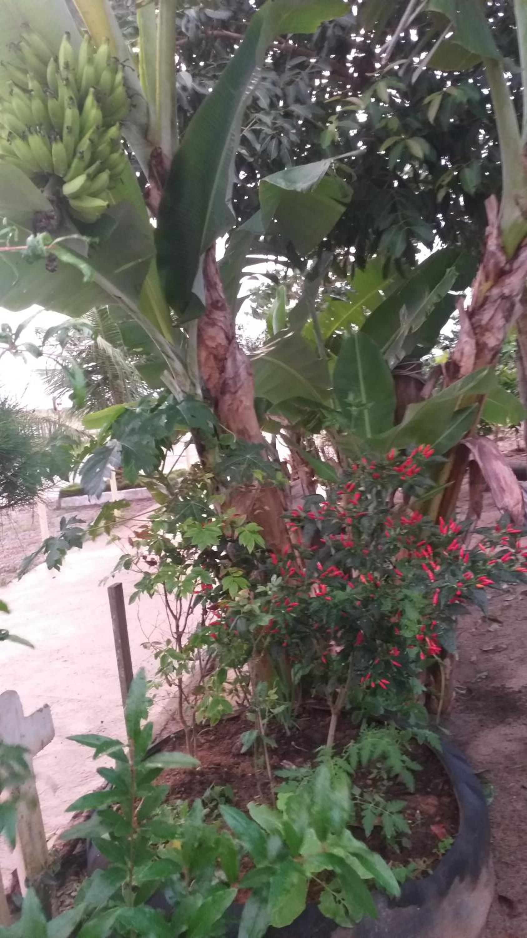 Hospedagem Flor do Mar