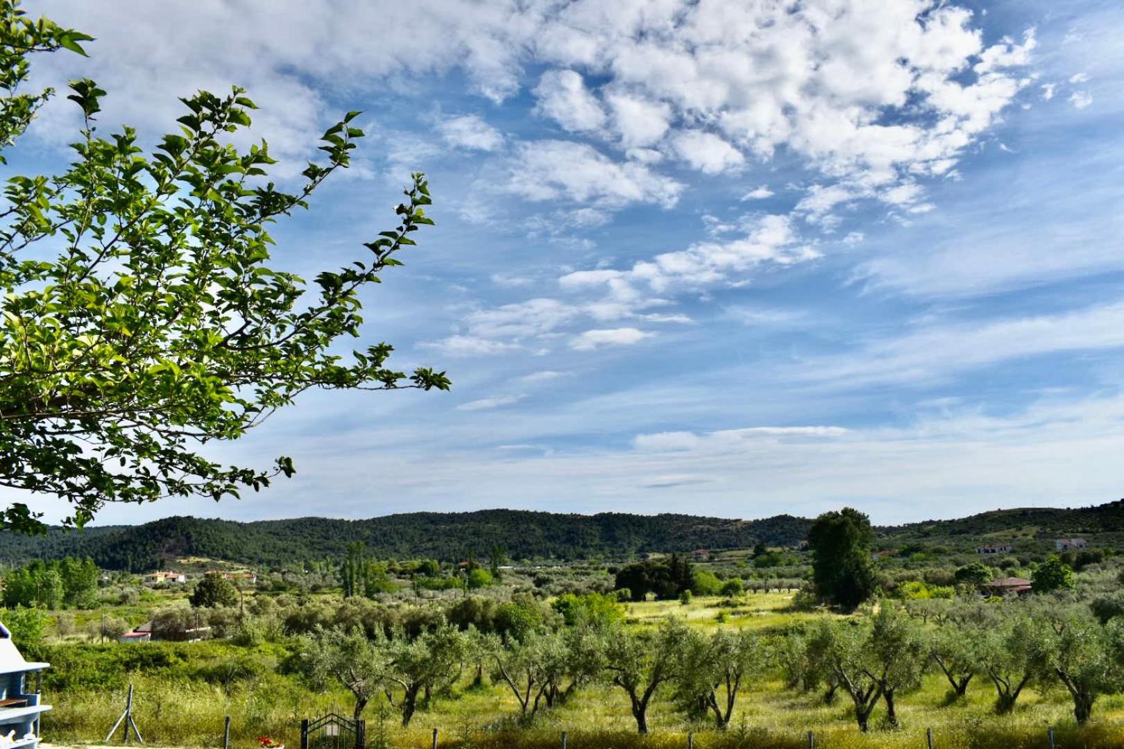 Ktima Panagias