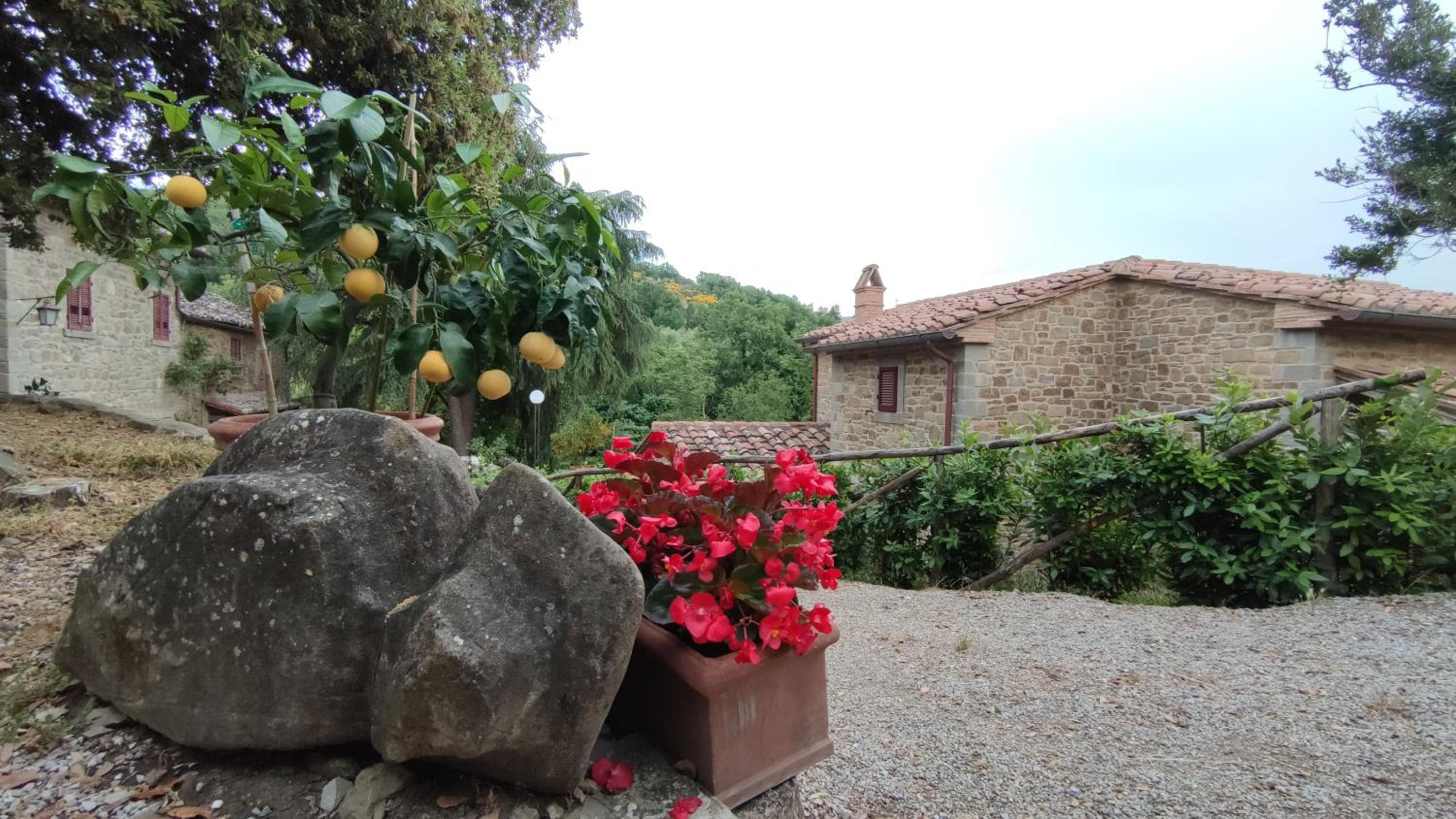 Cortona Vacations - Agriturismo I Cedri - Property Image 14