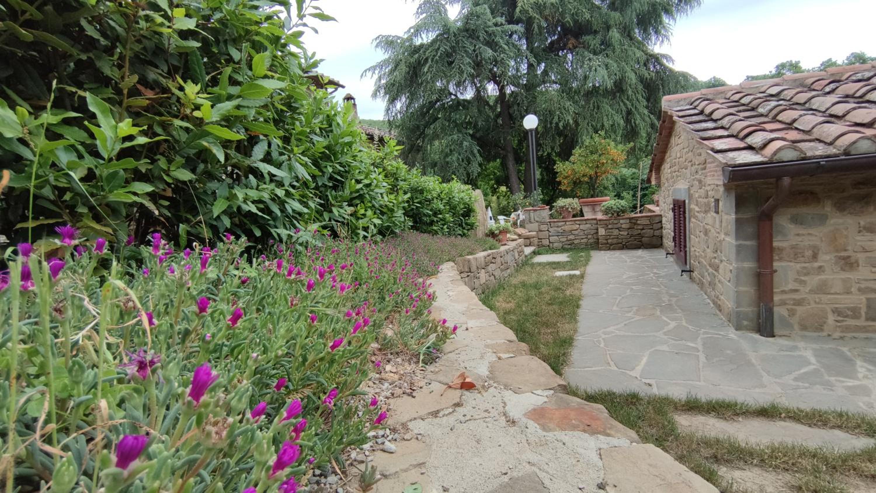 Cortona Vacations - Agriturismo I Cedri - Property Image 17
