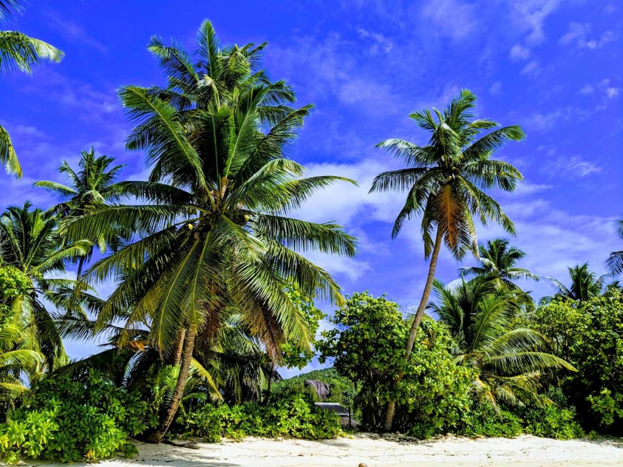 Chalets d'Anse Forbans SelfCatering photo 3