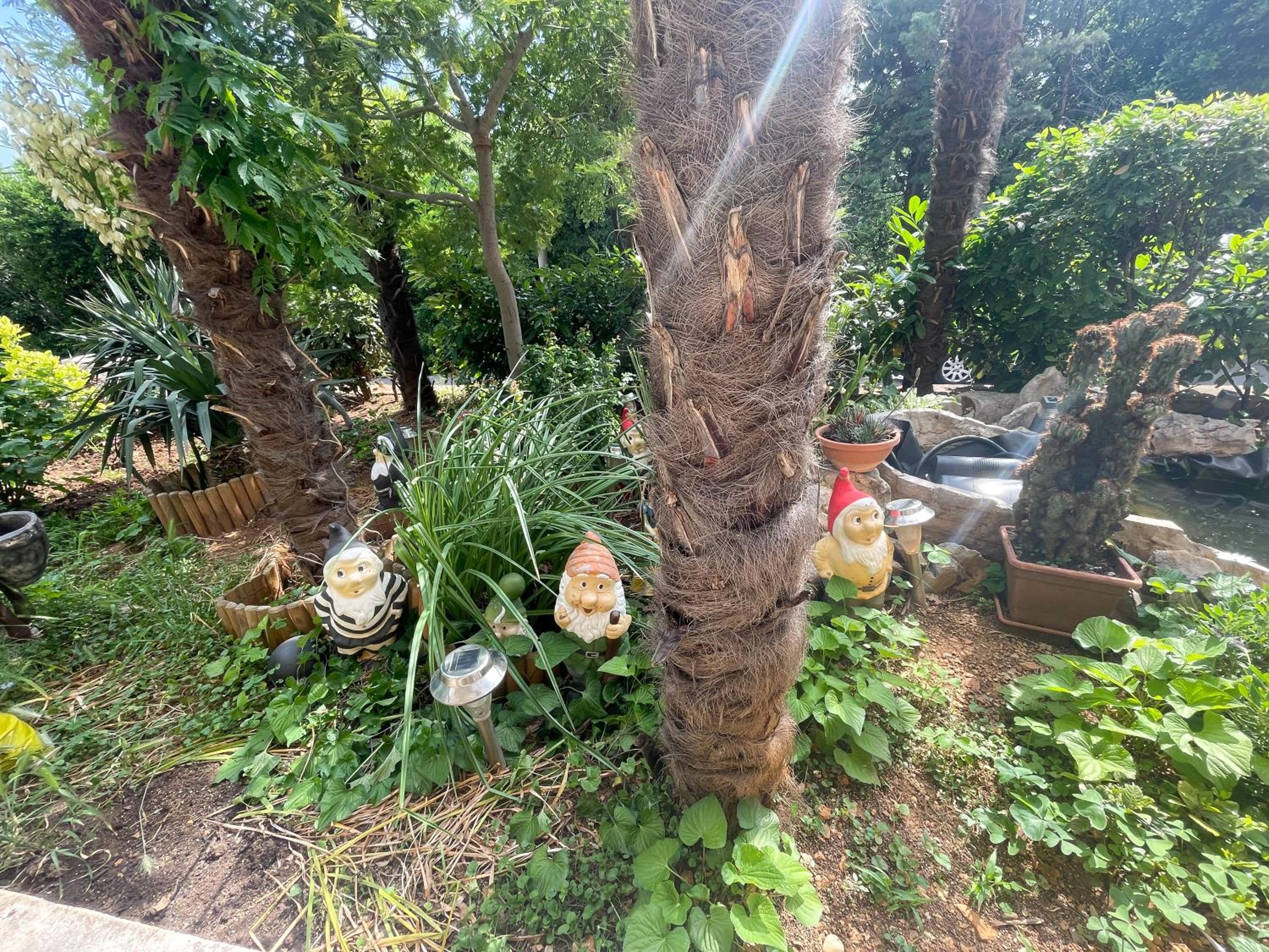 Photo 19
