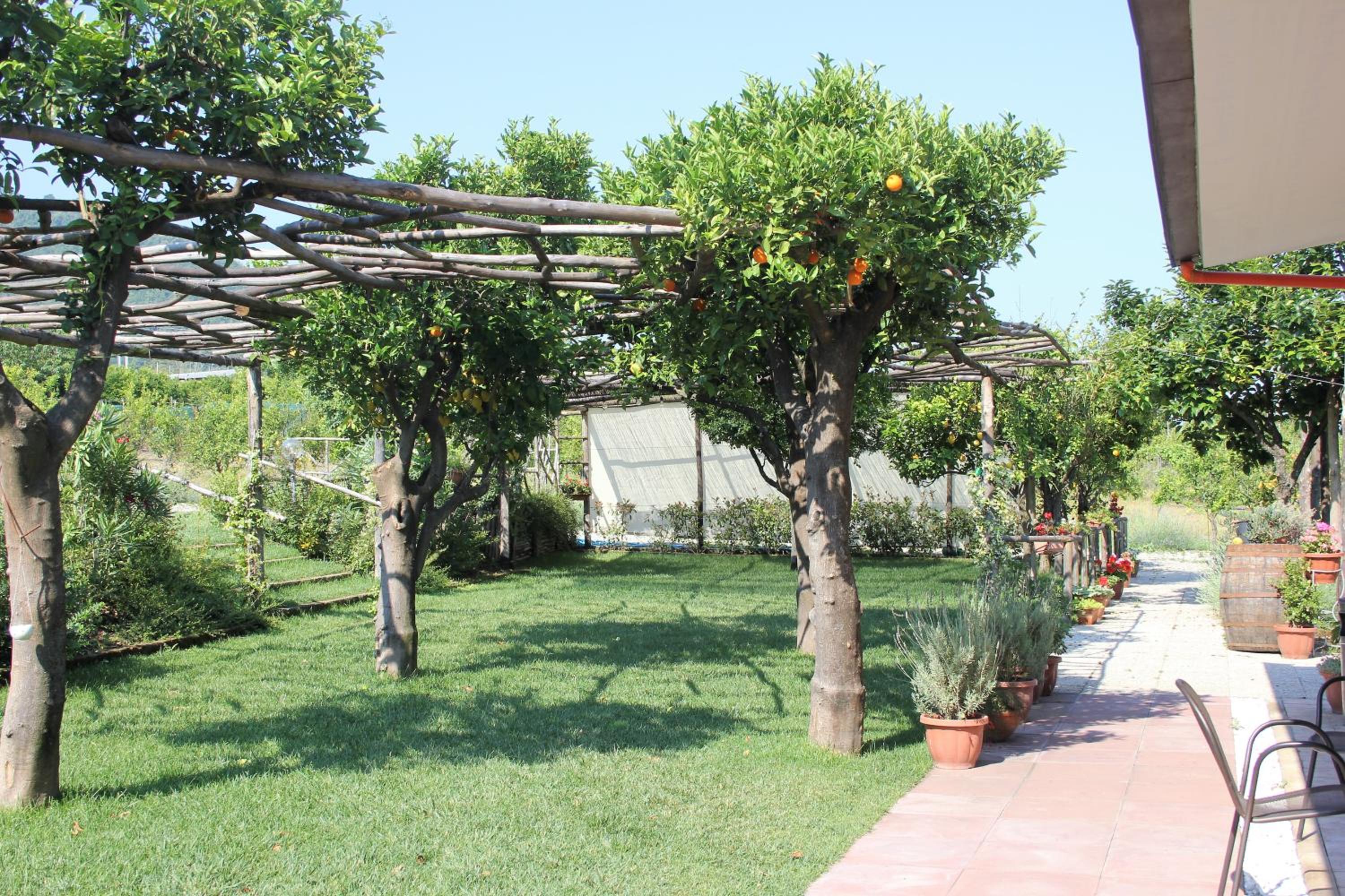 Terra e Cielo en Pagani — activities & amenities