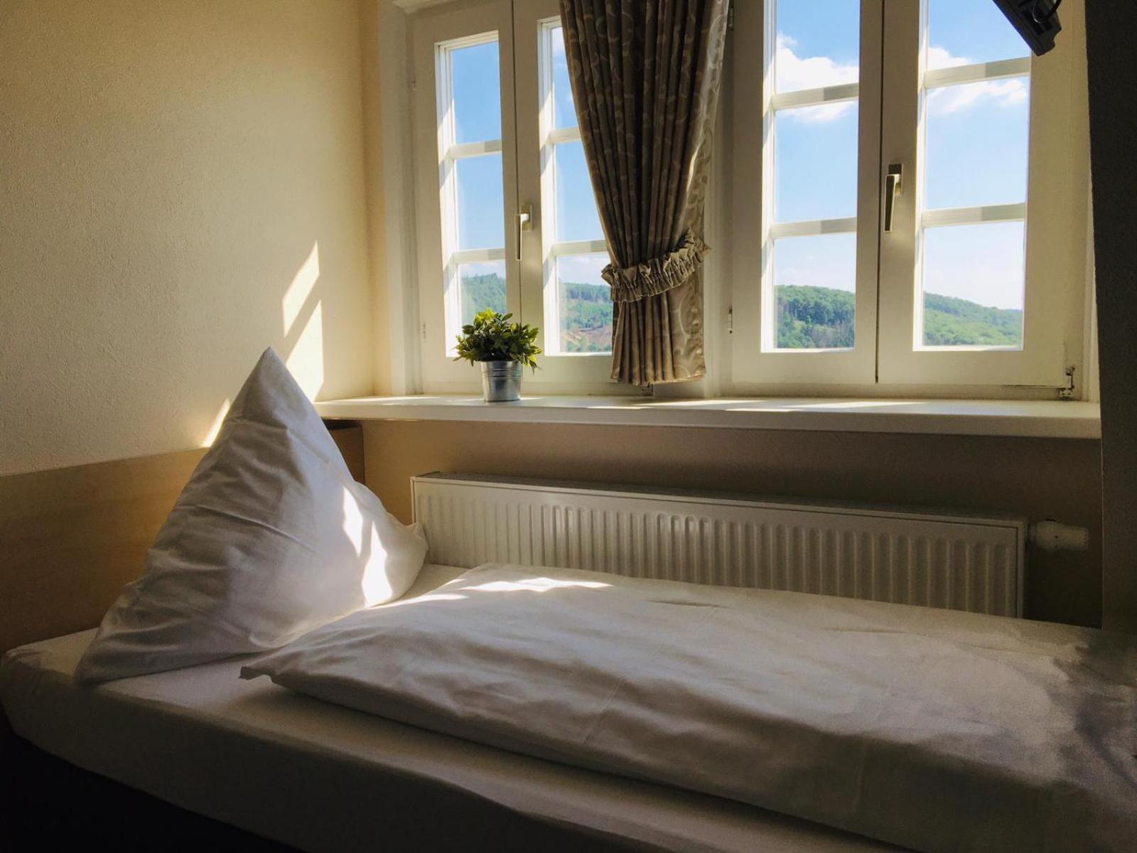 Schloß Wittgenstein, photo 19