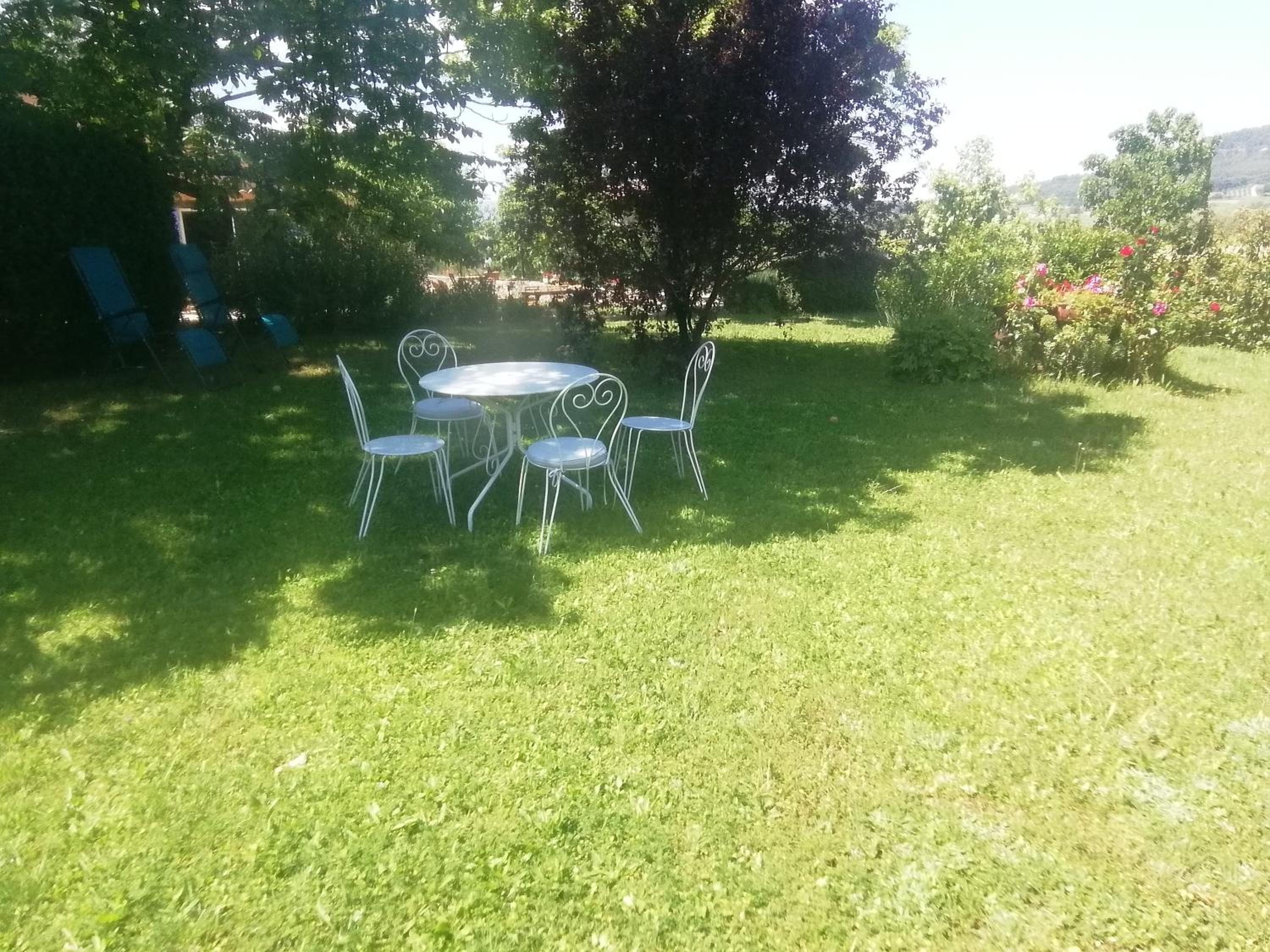Photo 11