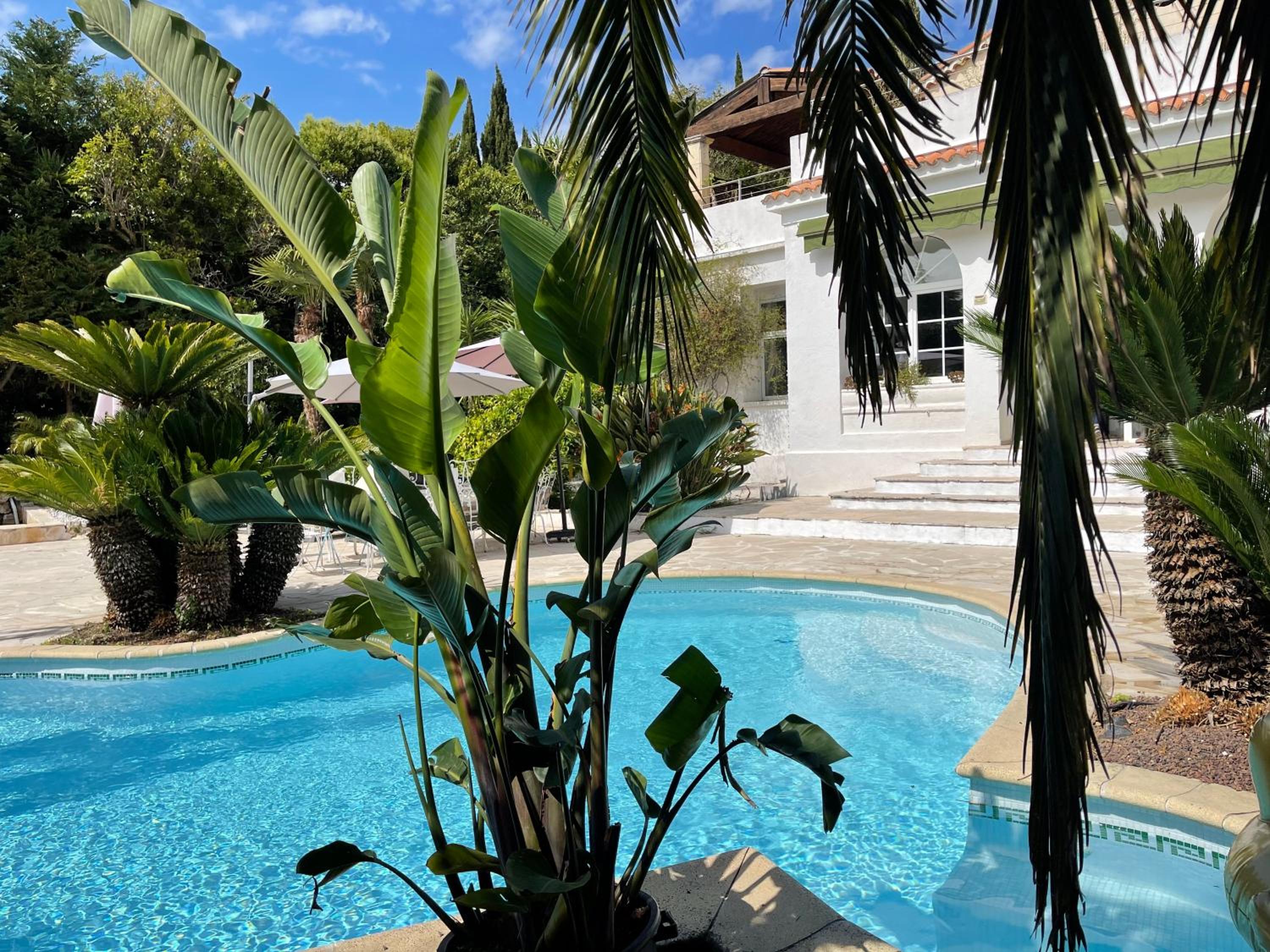 Cannes Villa piscine proche centre ville photo 3