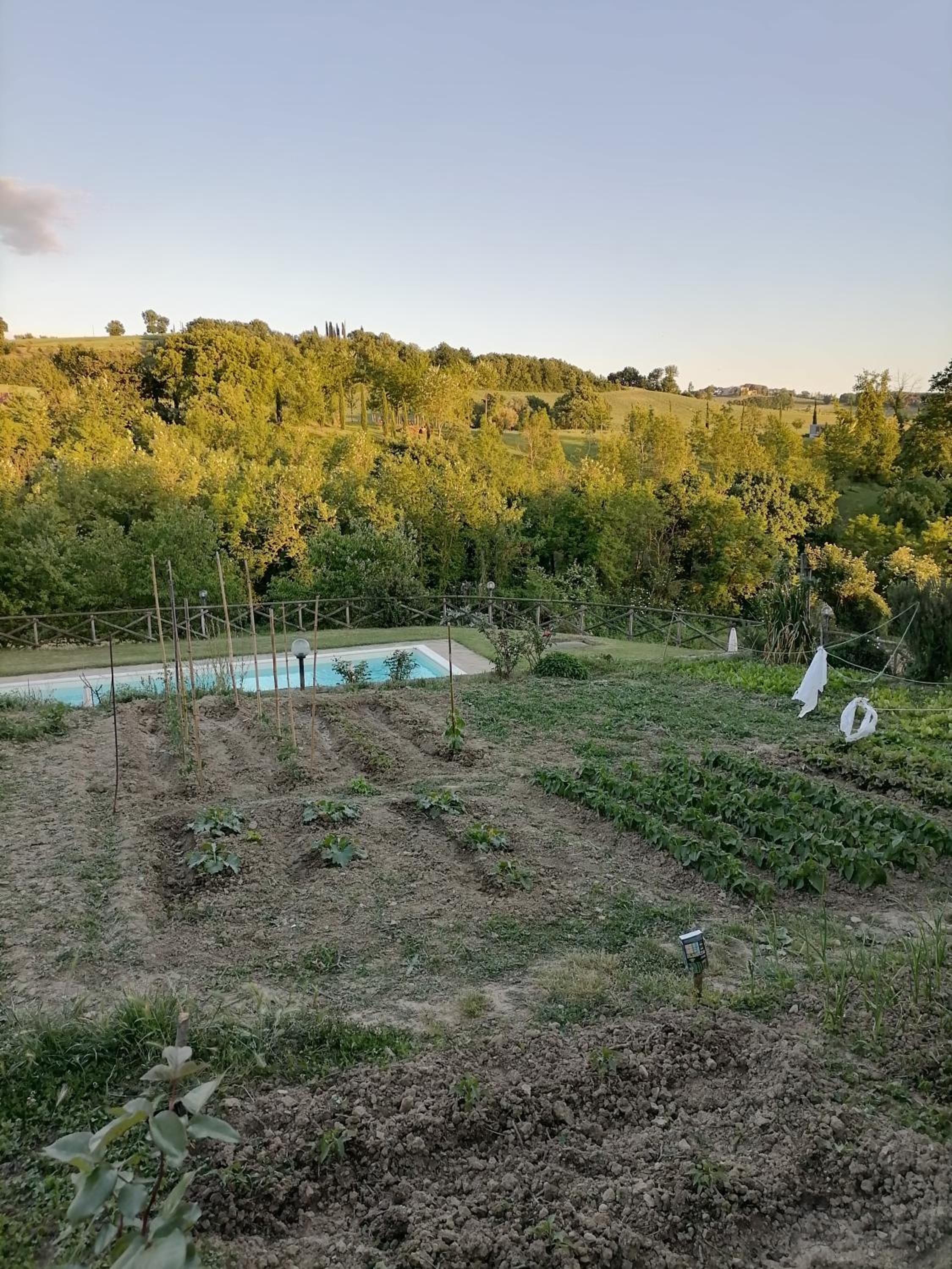 Fattoria di Rigone