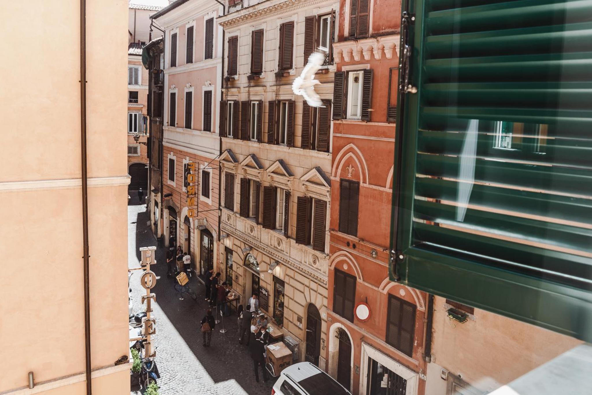 Nikis Collection Navona