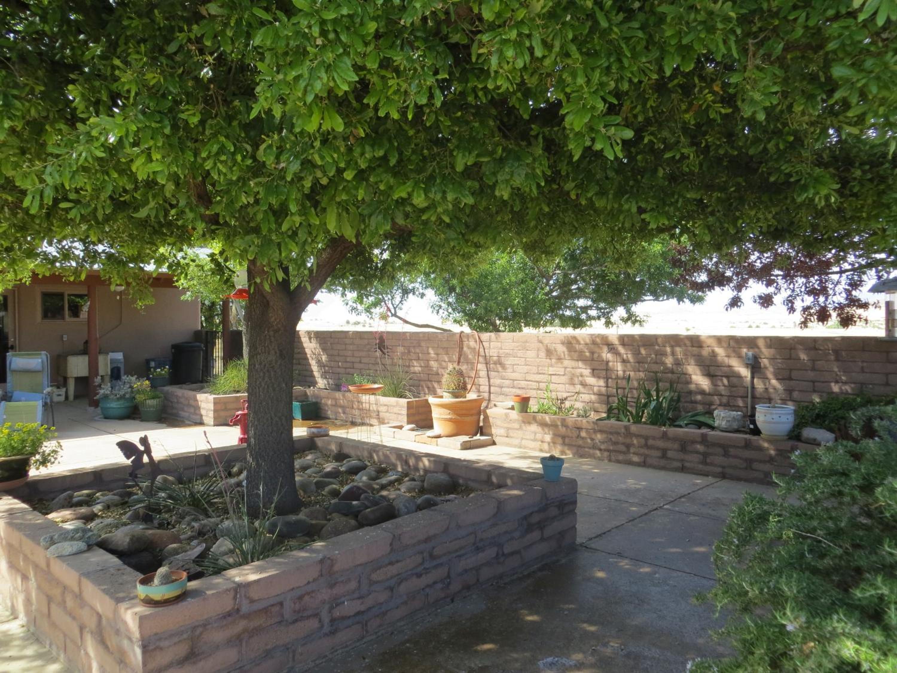 Rancho Milagro Bed & Breakfast view 4