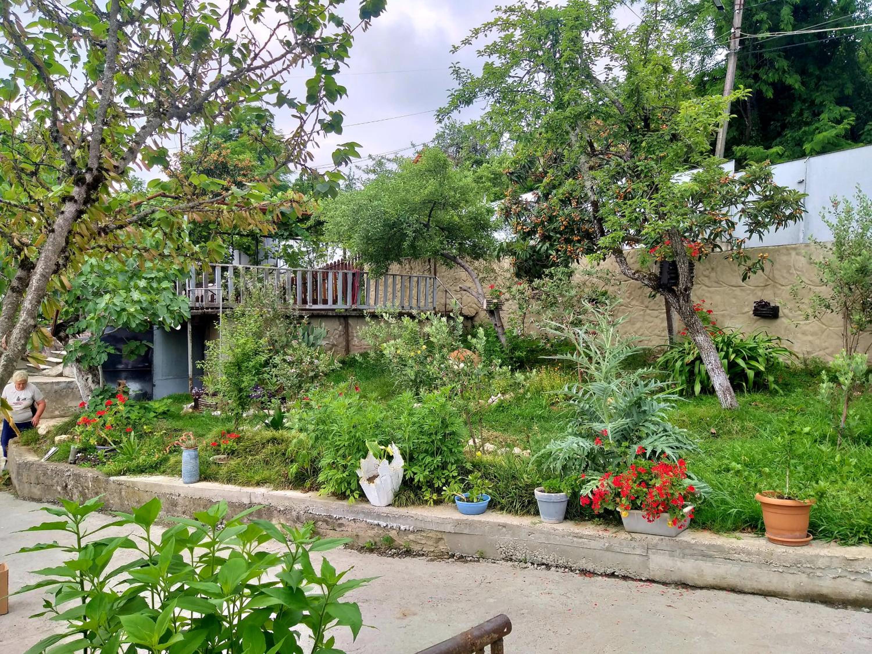 Magdan house, photo 82