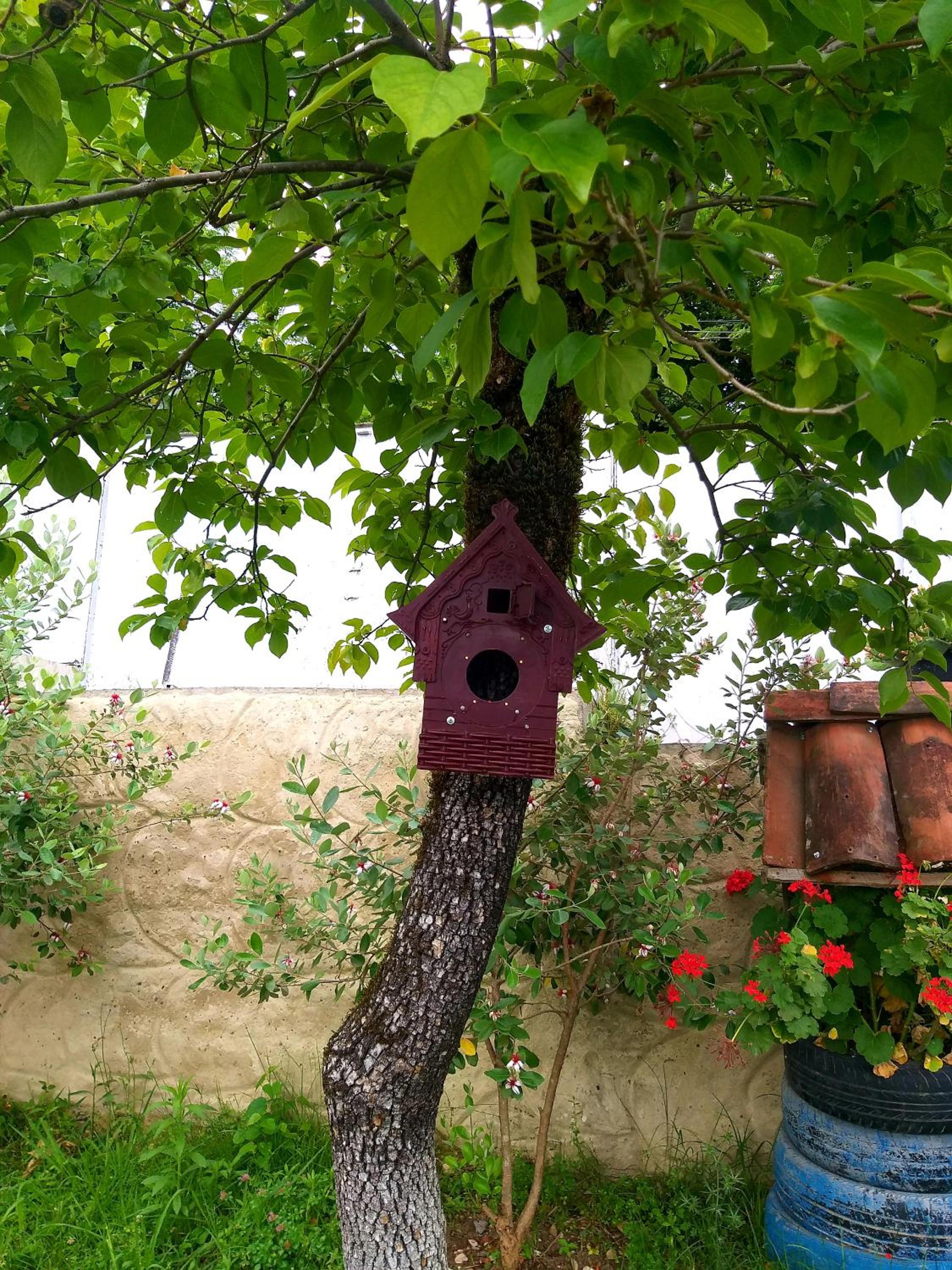 Magdan house, photo 13