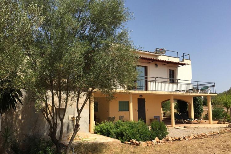 Finca Las Tortugas