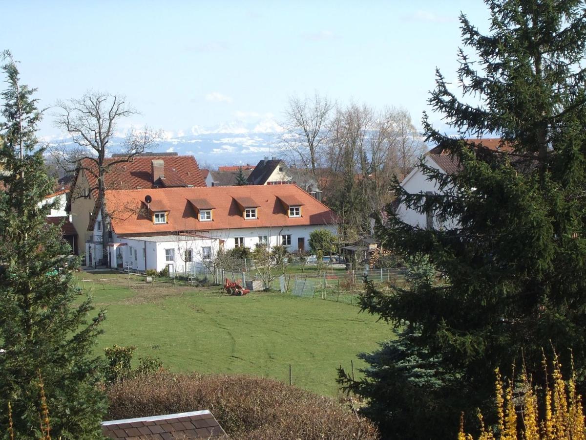 Silvaner-Laube Silvanerlaube B