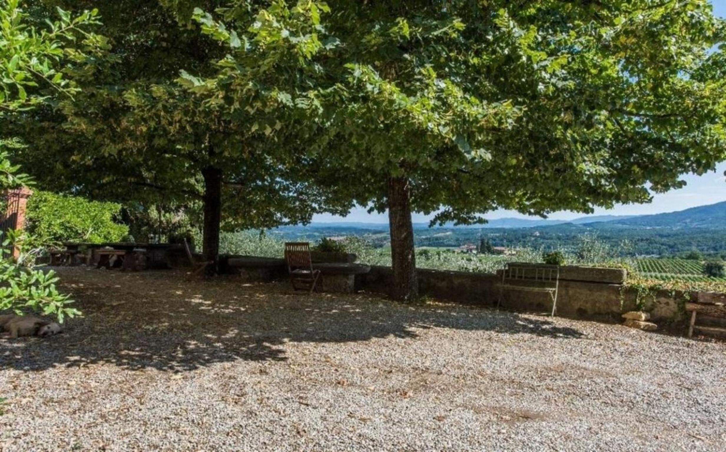 Villa delle Vigne