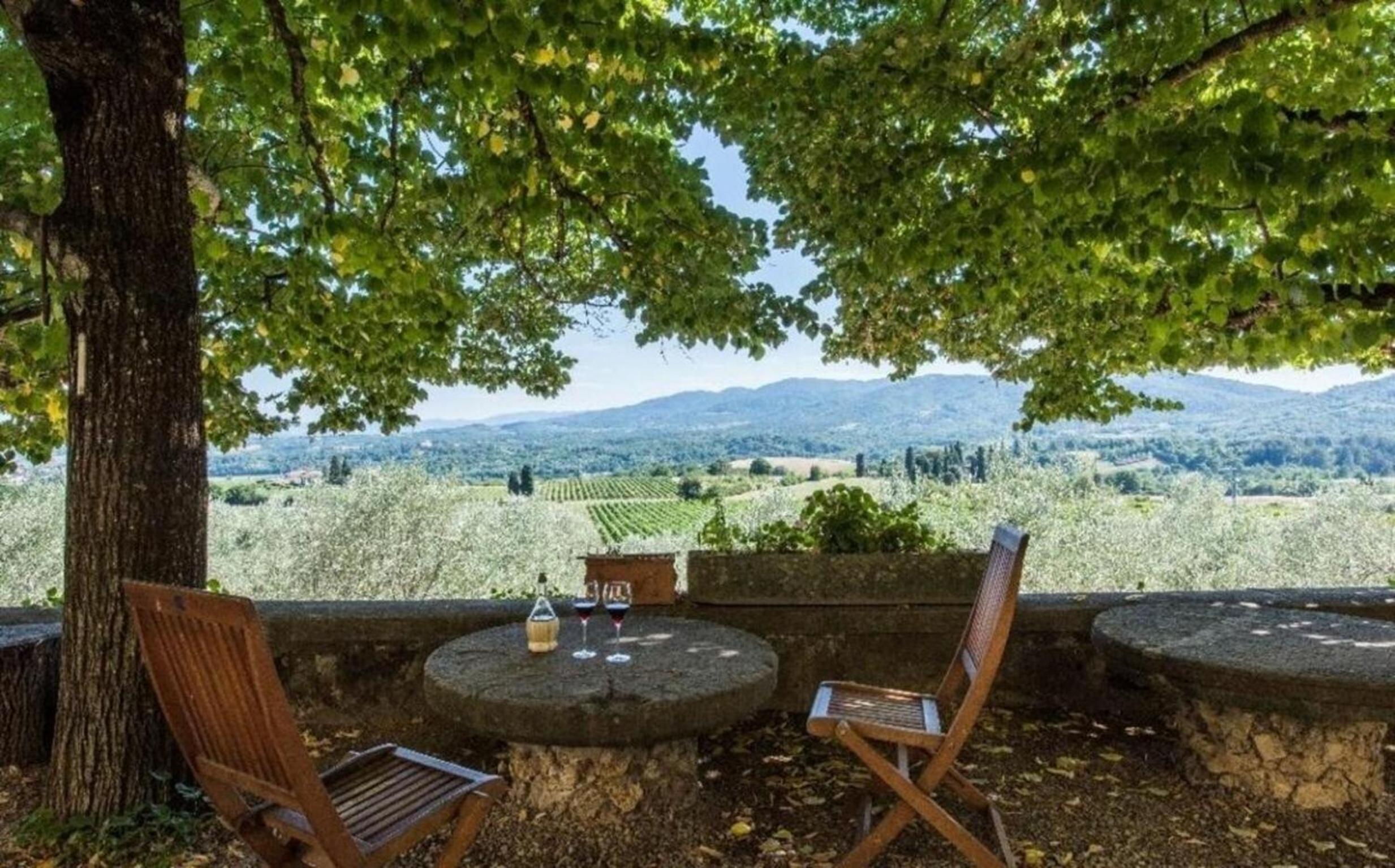 Villa delle Vigne
