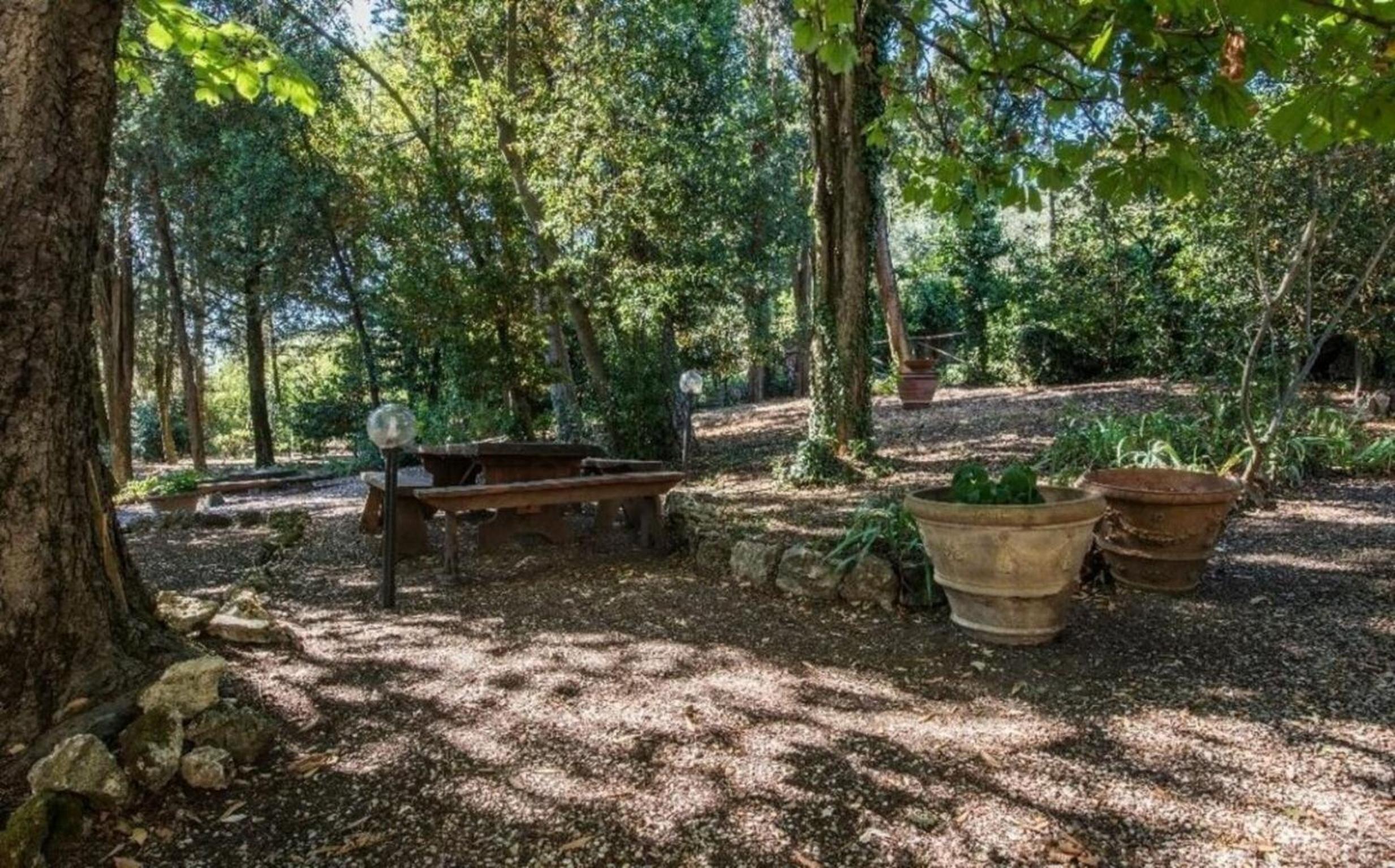 Villa delle Vigne