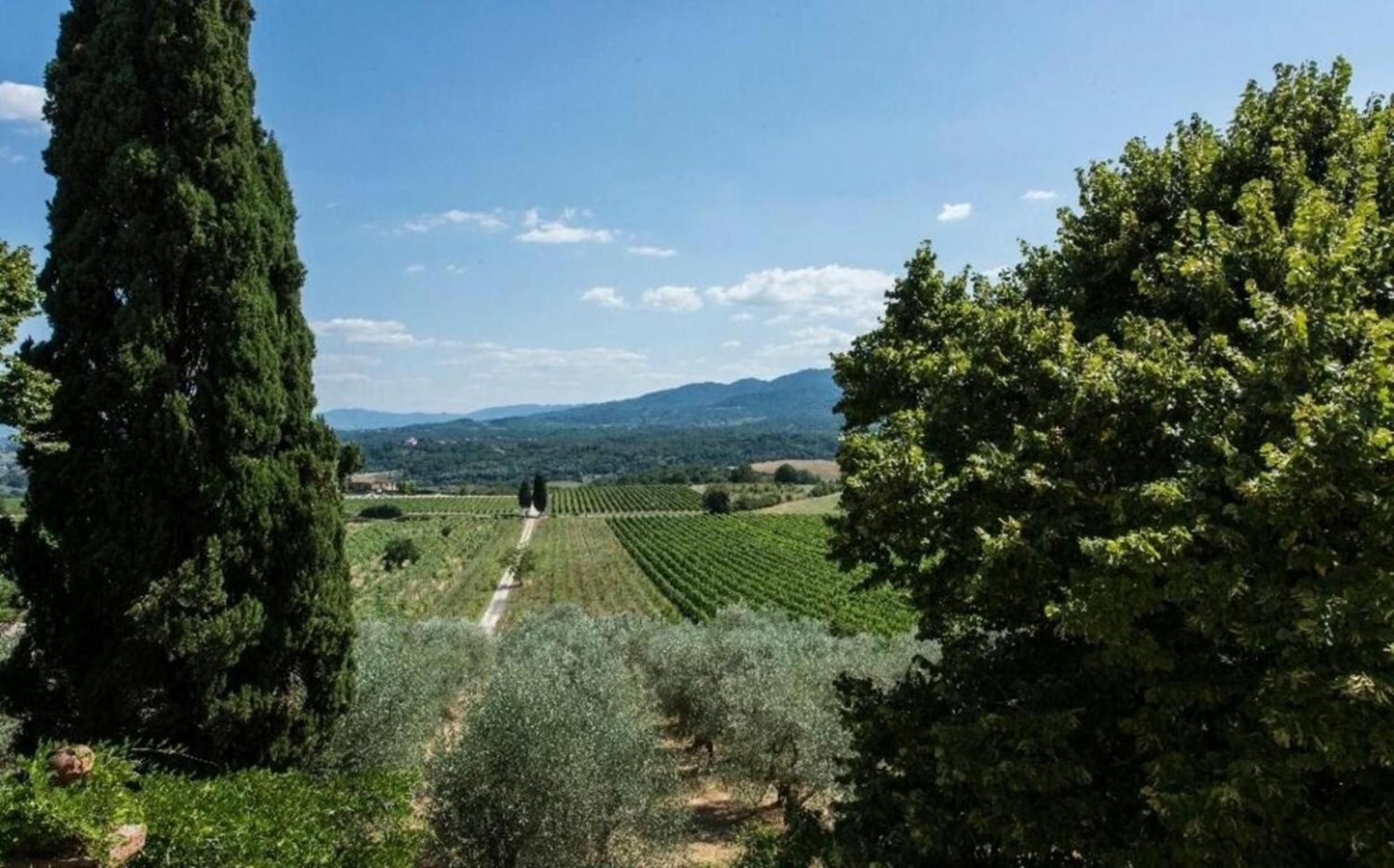 Villa delle Vigne