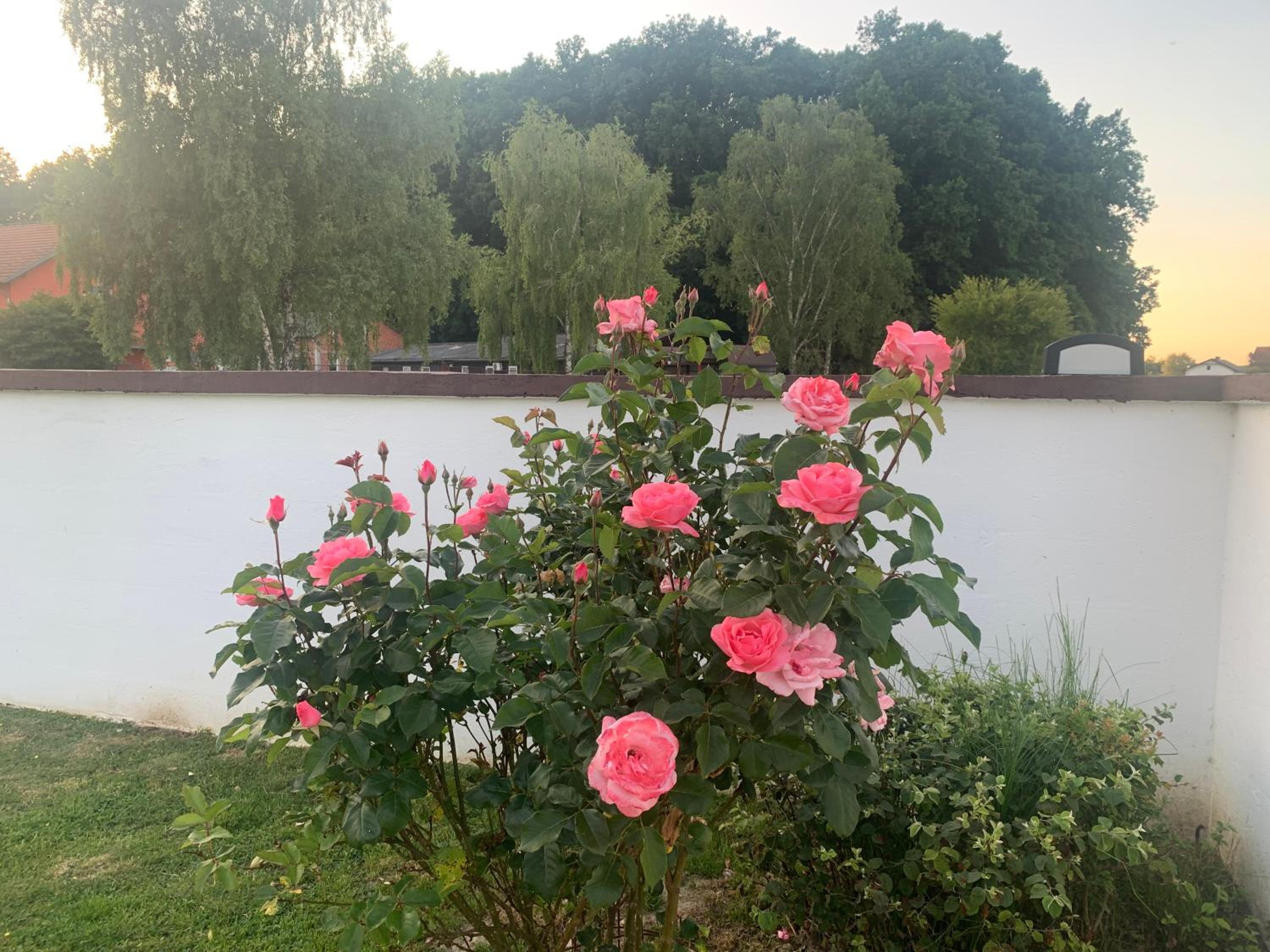 Photo 47