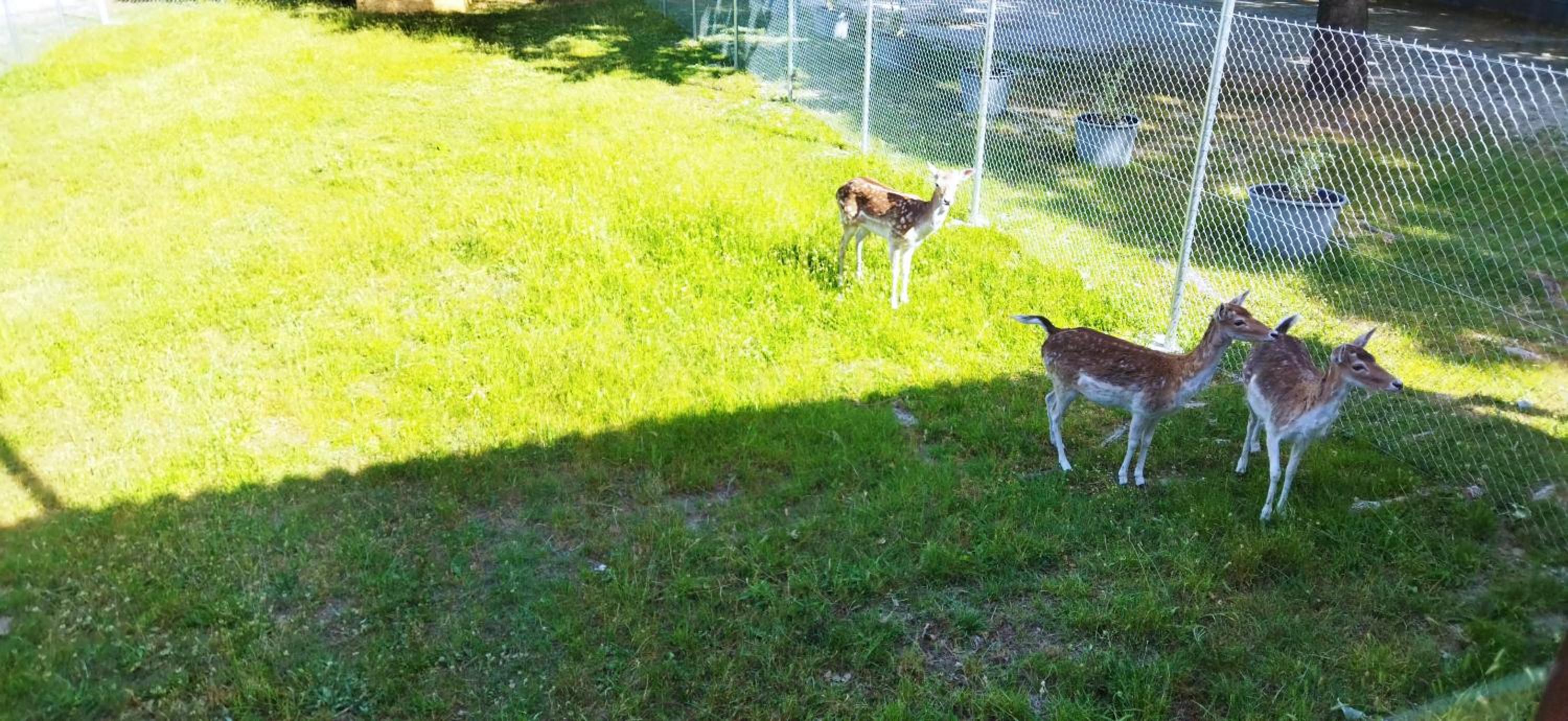 Photo 34